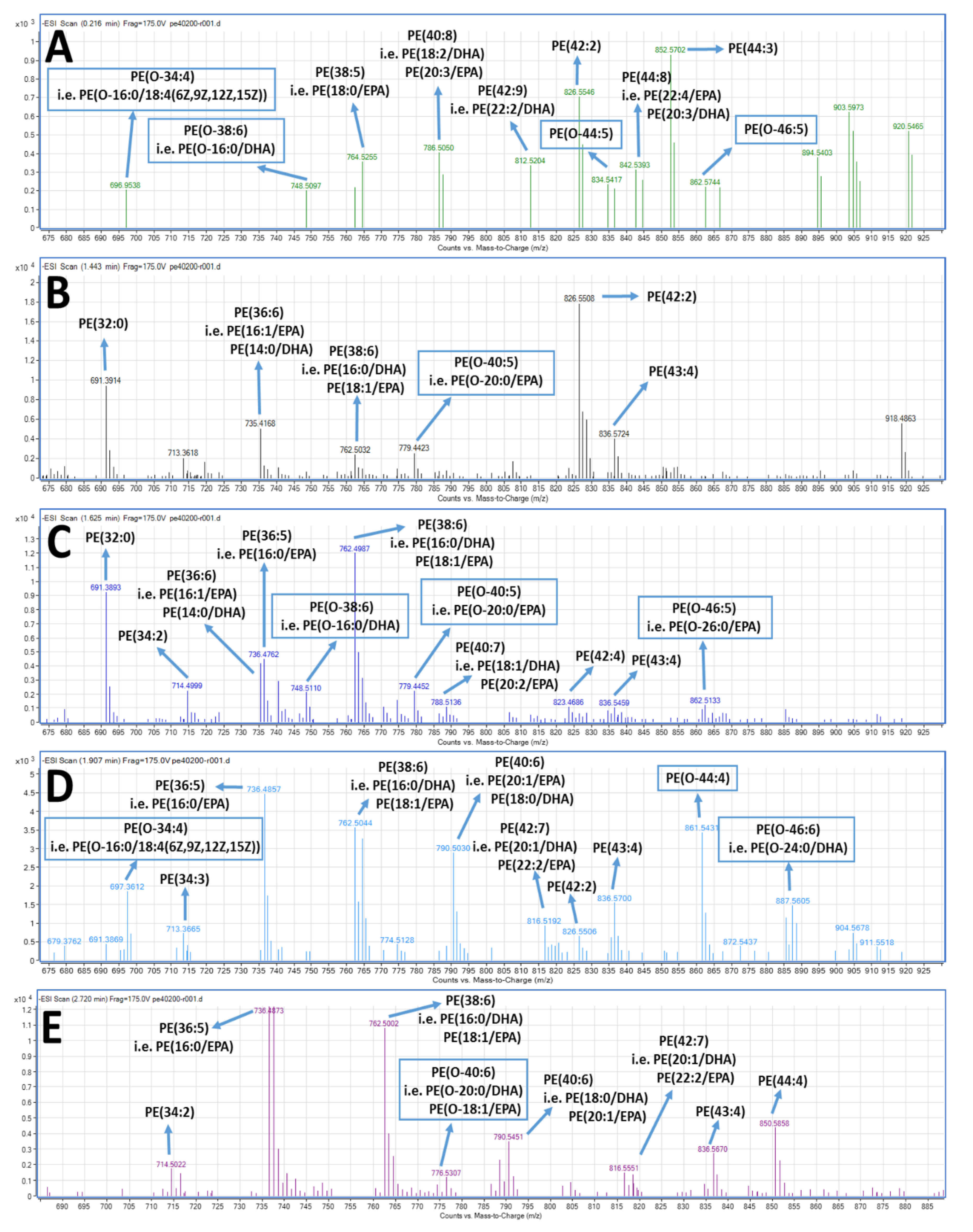 Marinedrugs 17 00062 g004