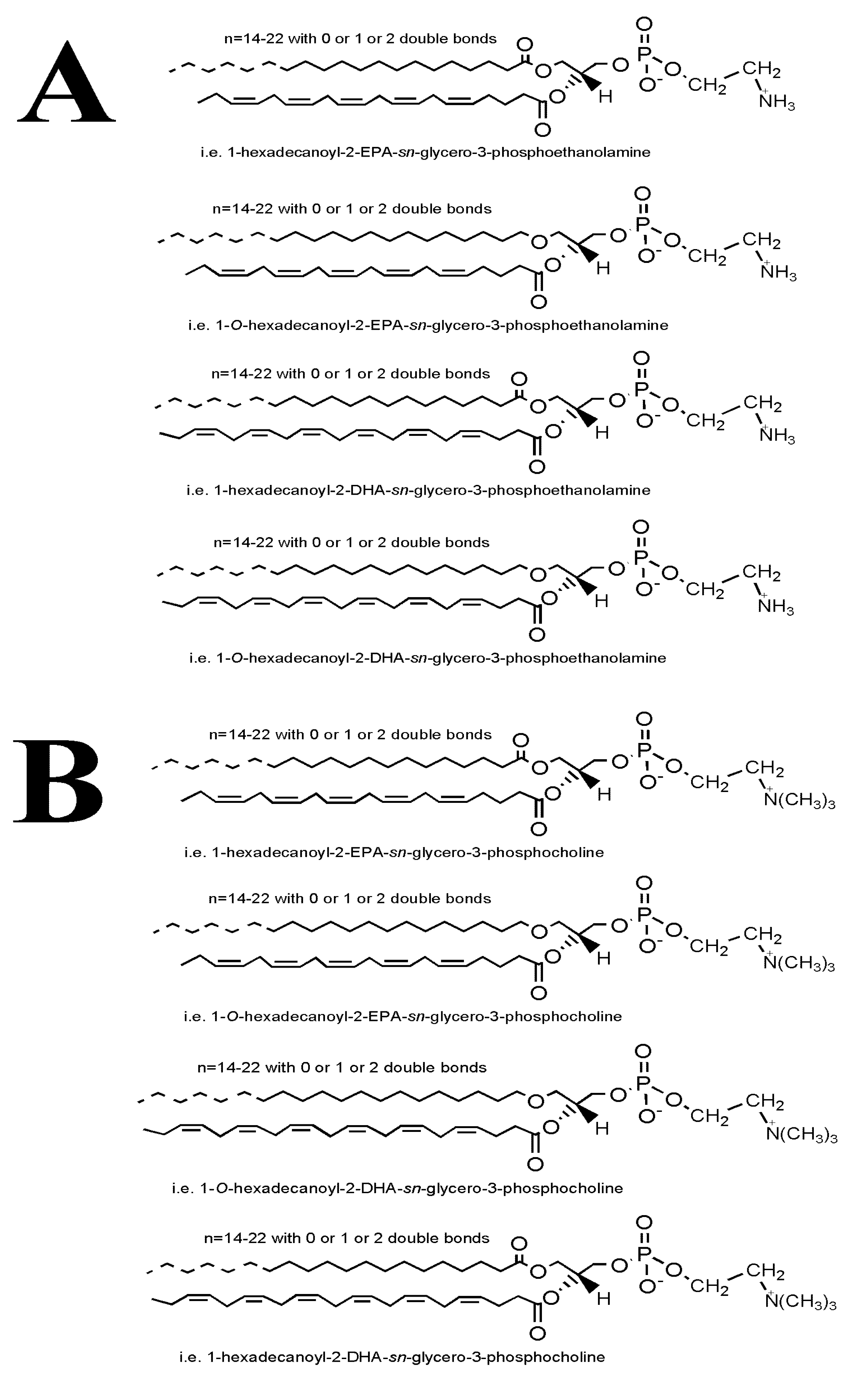 Marinedrugs 17 00062 g006
