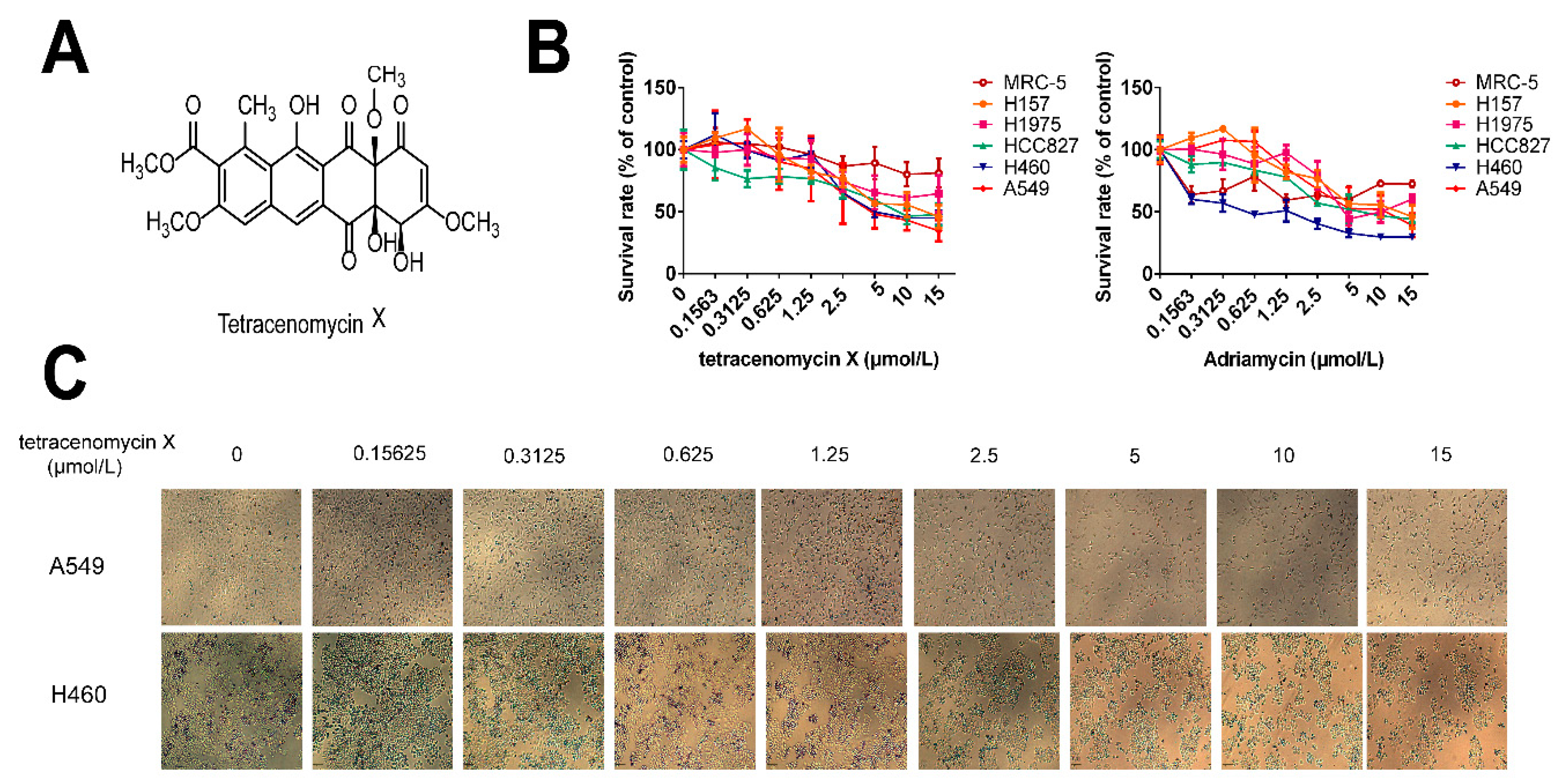 Marinedrugs 17 00063 g002
