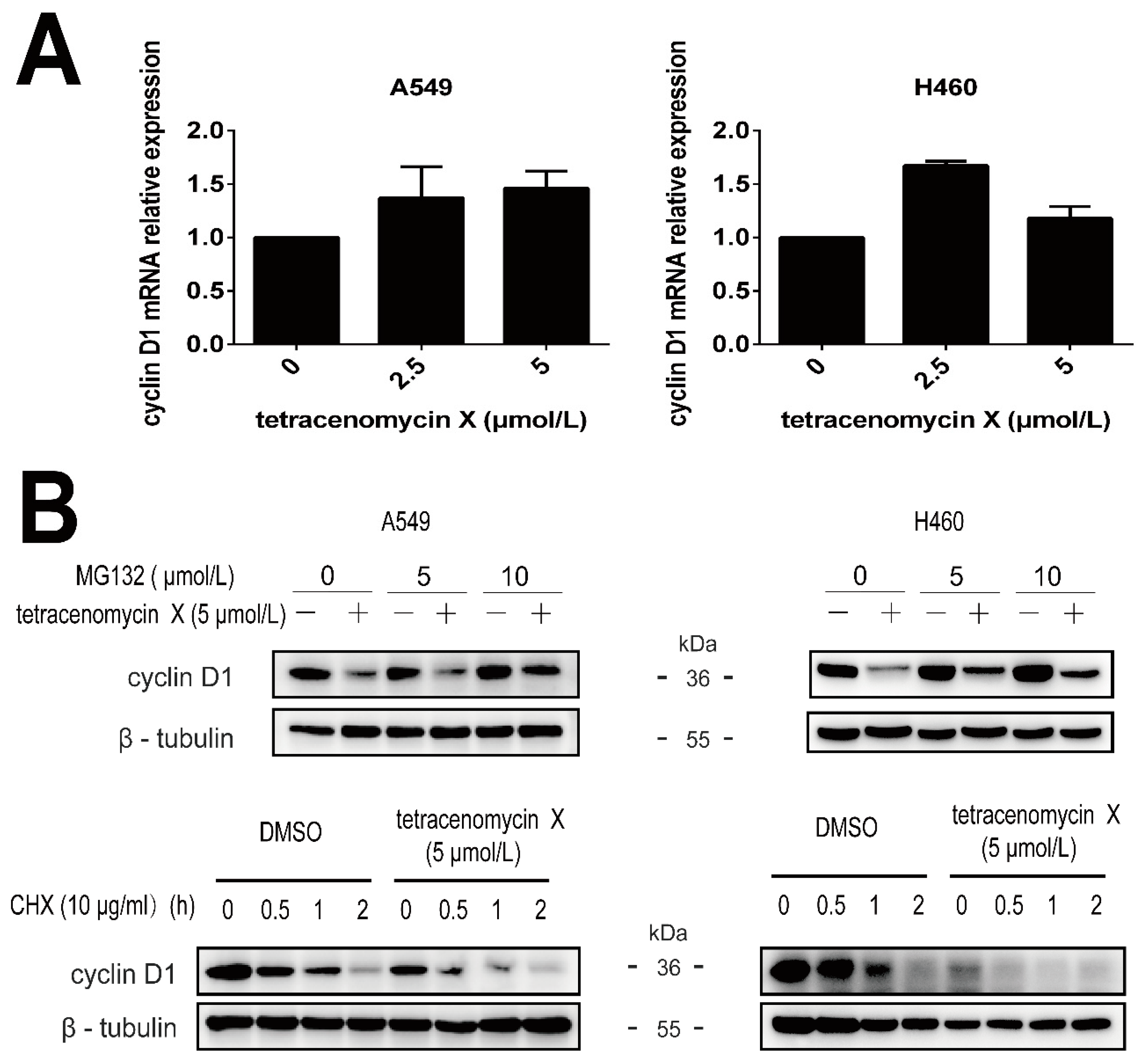 Marinedrugs 17 00063 g005