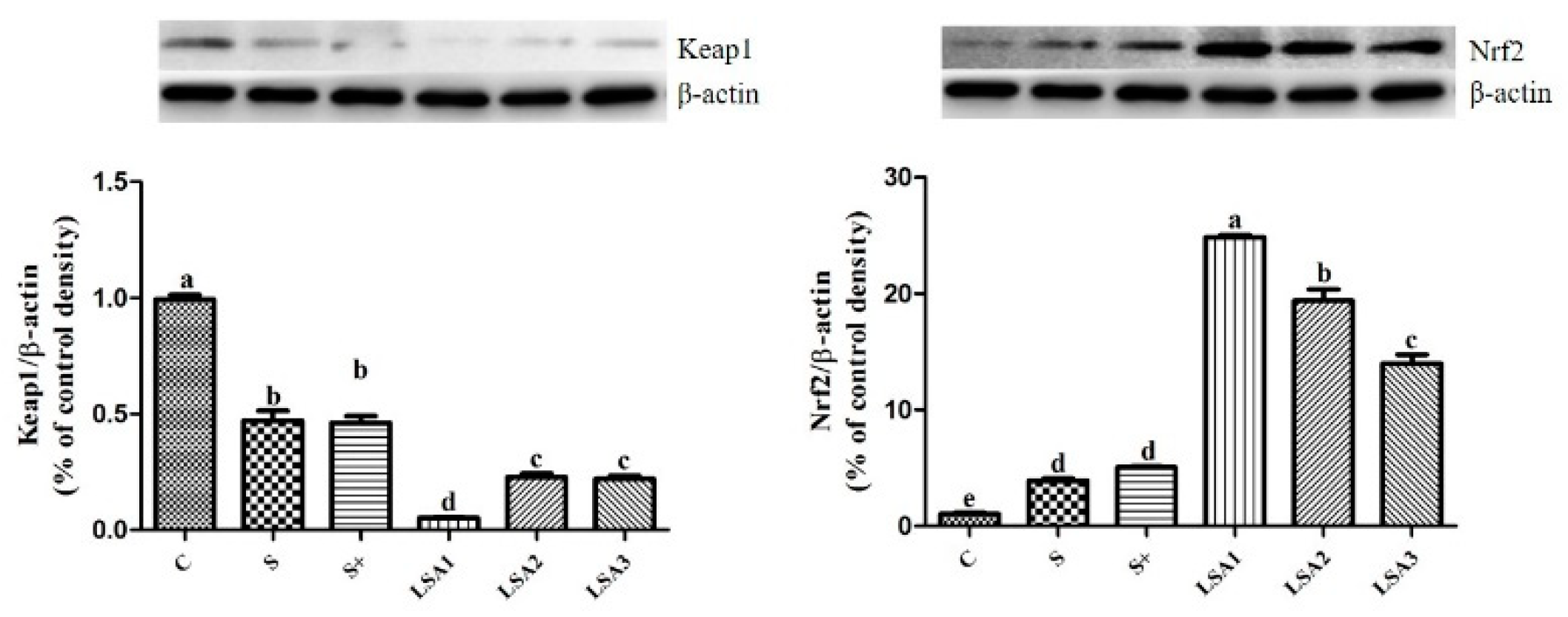 Marinedrugs 17 00064 g007 Marinedrugs 17 00064 g007