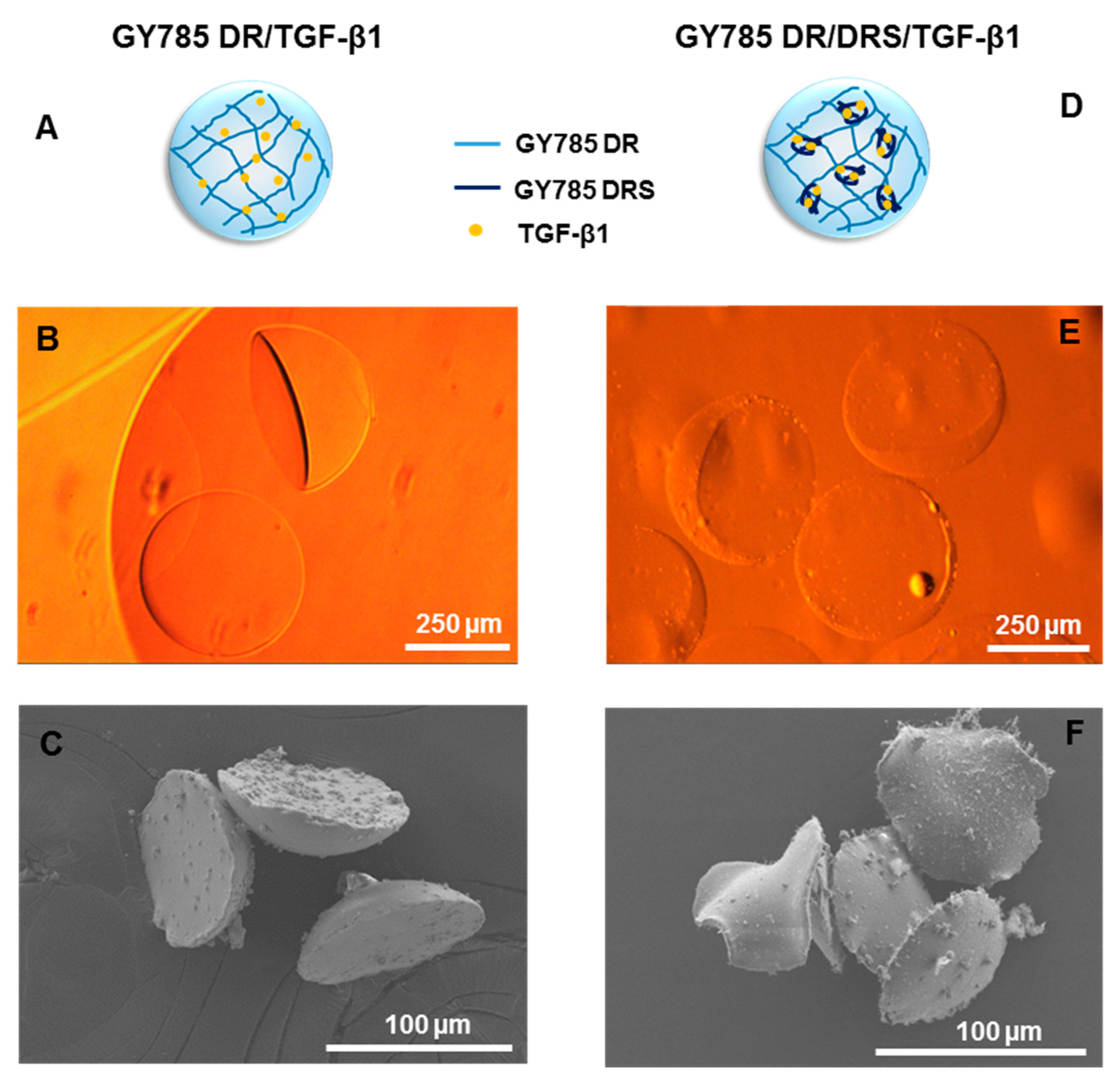 Marinedrugs 17 00065 g006 Marinedrugs 17 00065 g006