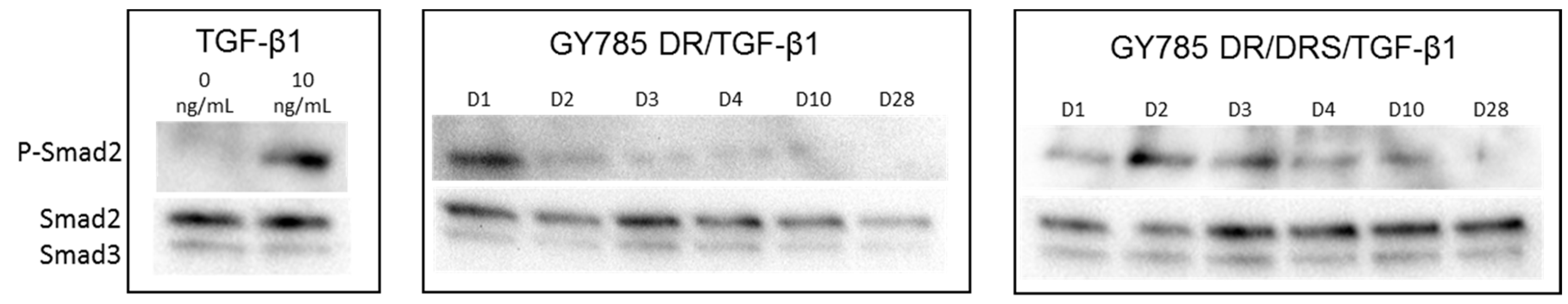 Marinedrugs 17 00065 g008 Marinedrugs 17 00065 g008