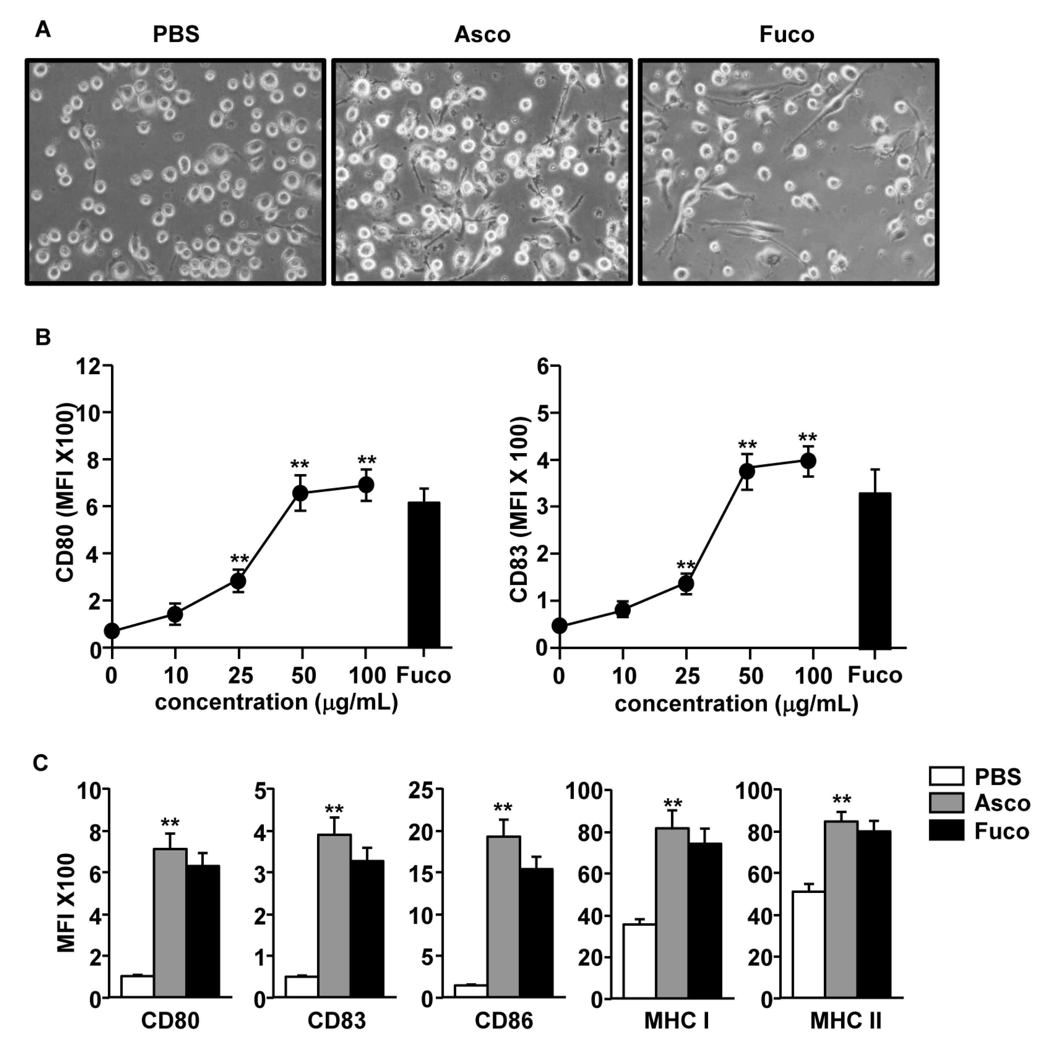 Marinedrugs 17 00066 g001 Marinedrugs 17 00066 g001