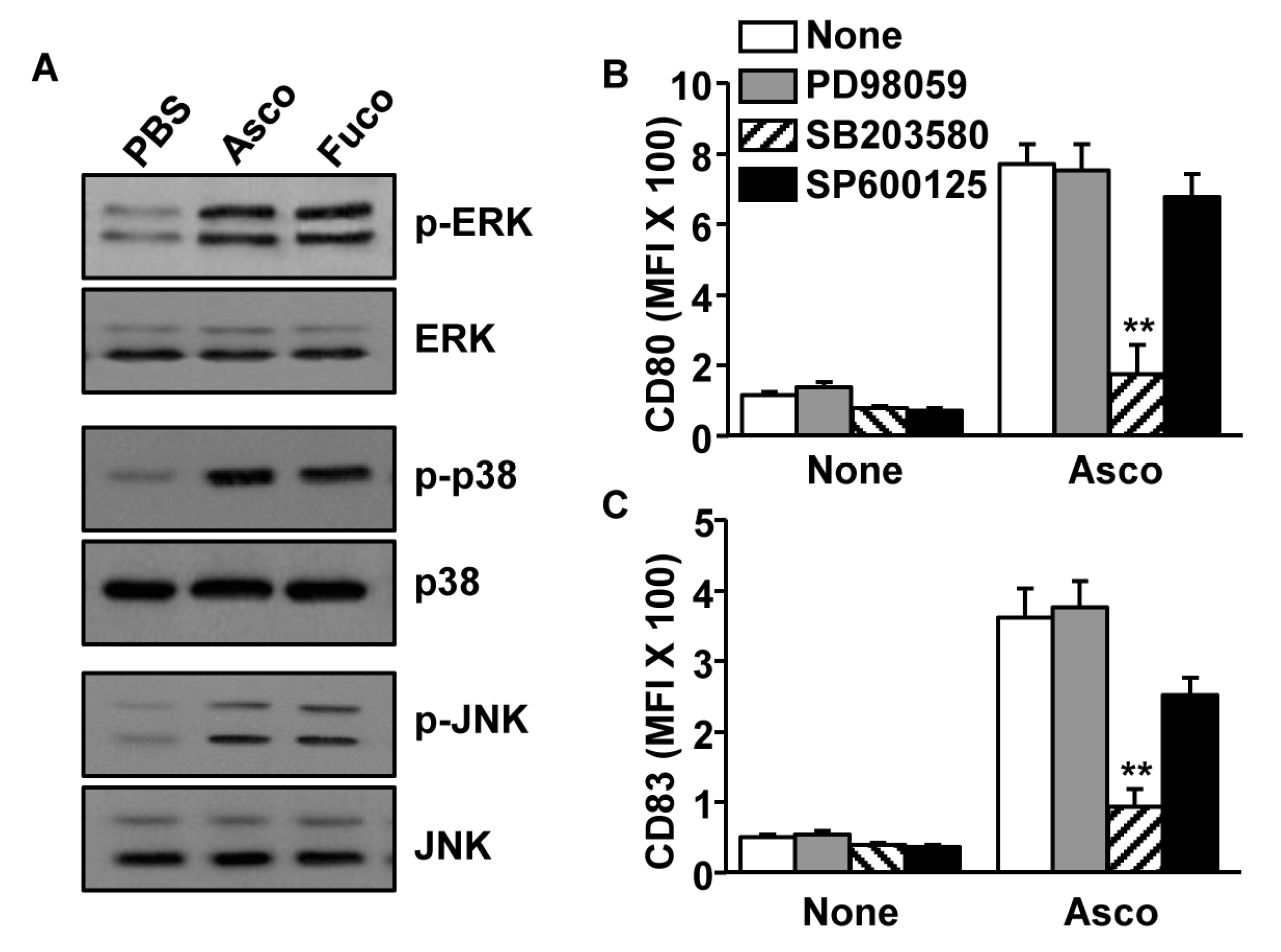 Marinedrugs 17 00066 g002 Marinedrugs 17 00066 g002