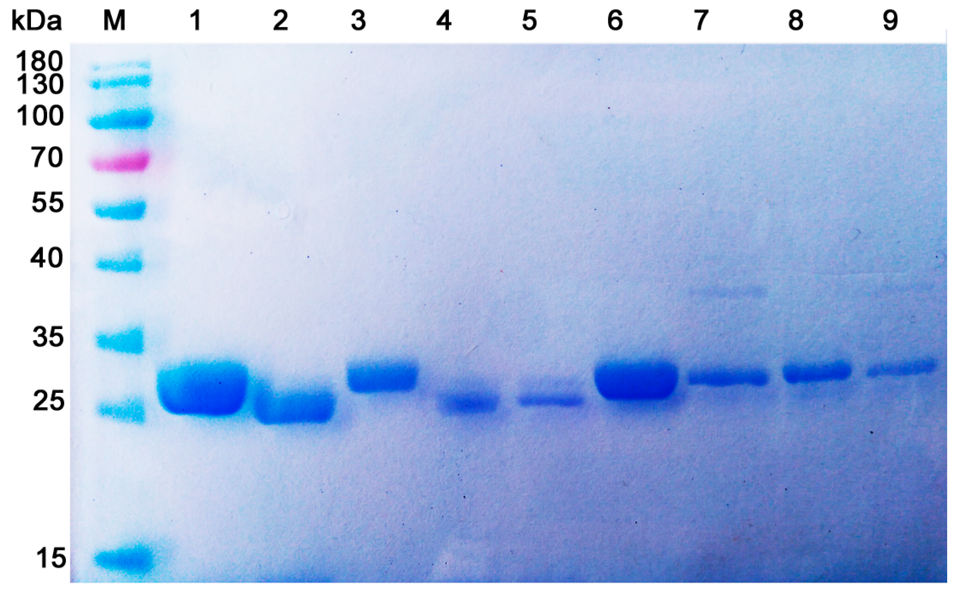 Marinedrugs 17 00068 g005