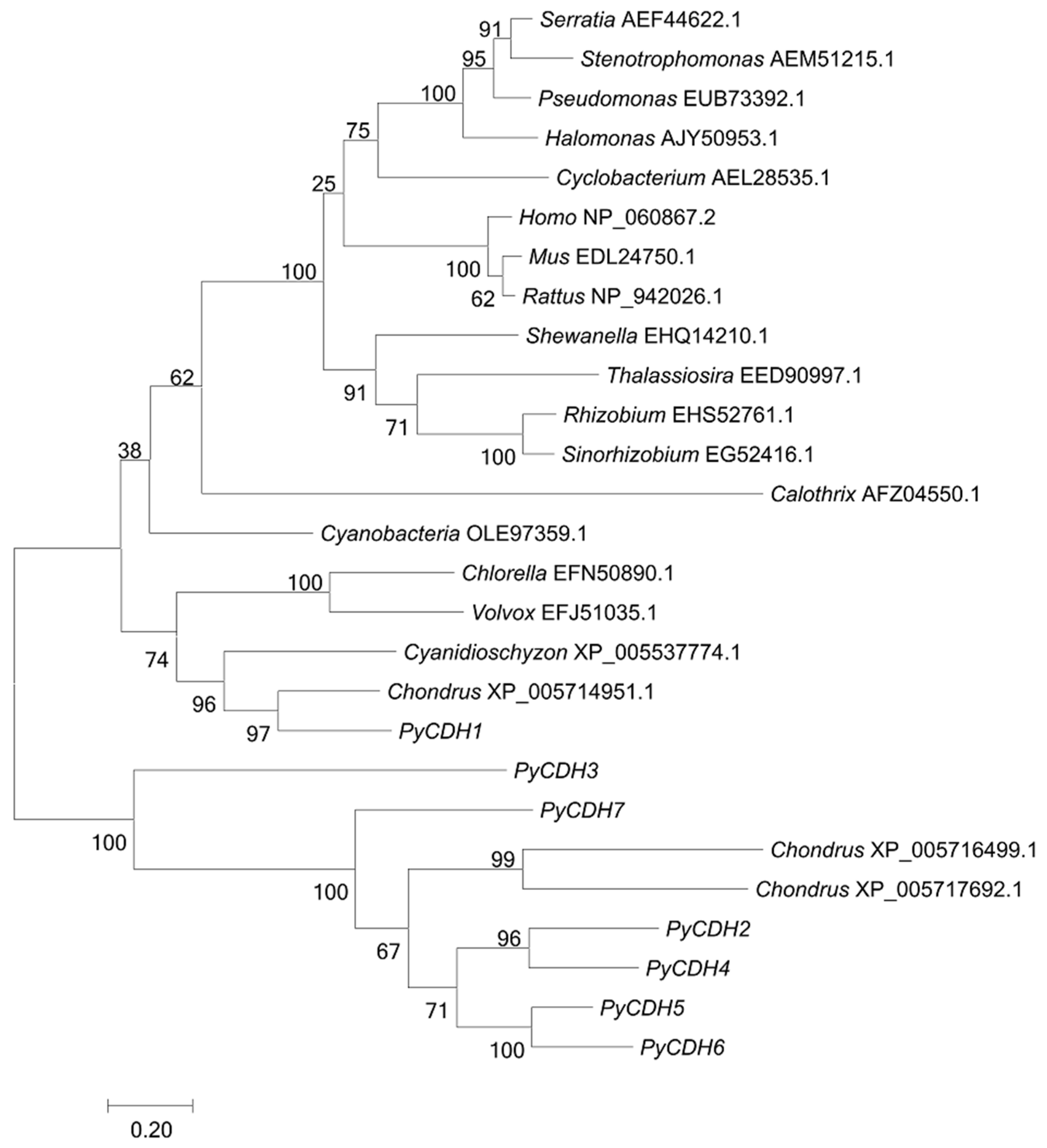 Marinedrugs 17 00070 g002 Marinedrugs 17 00070 g002
