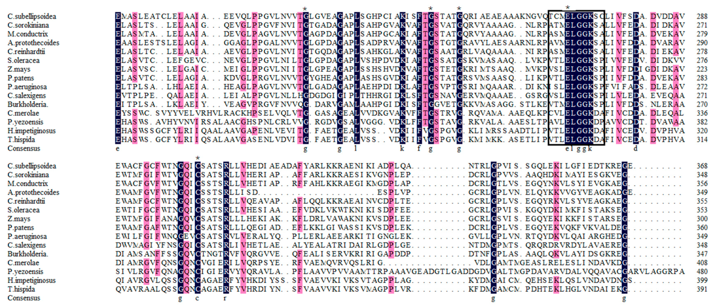 Marinedrugs 17 00070 g003 Marinedrugs 17 00070 g003