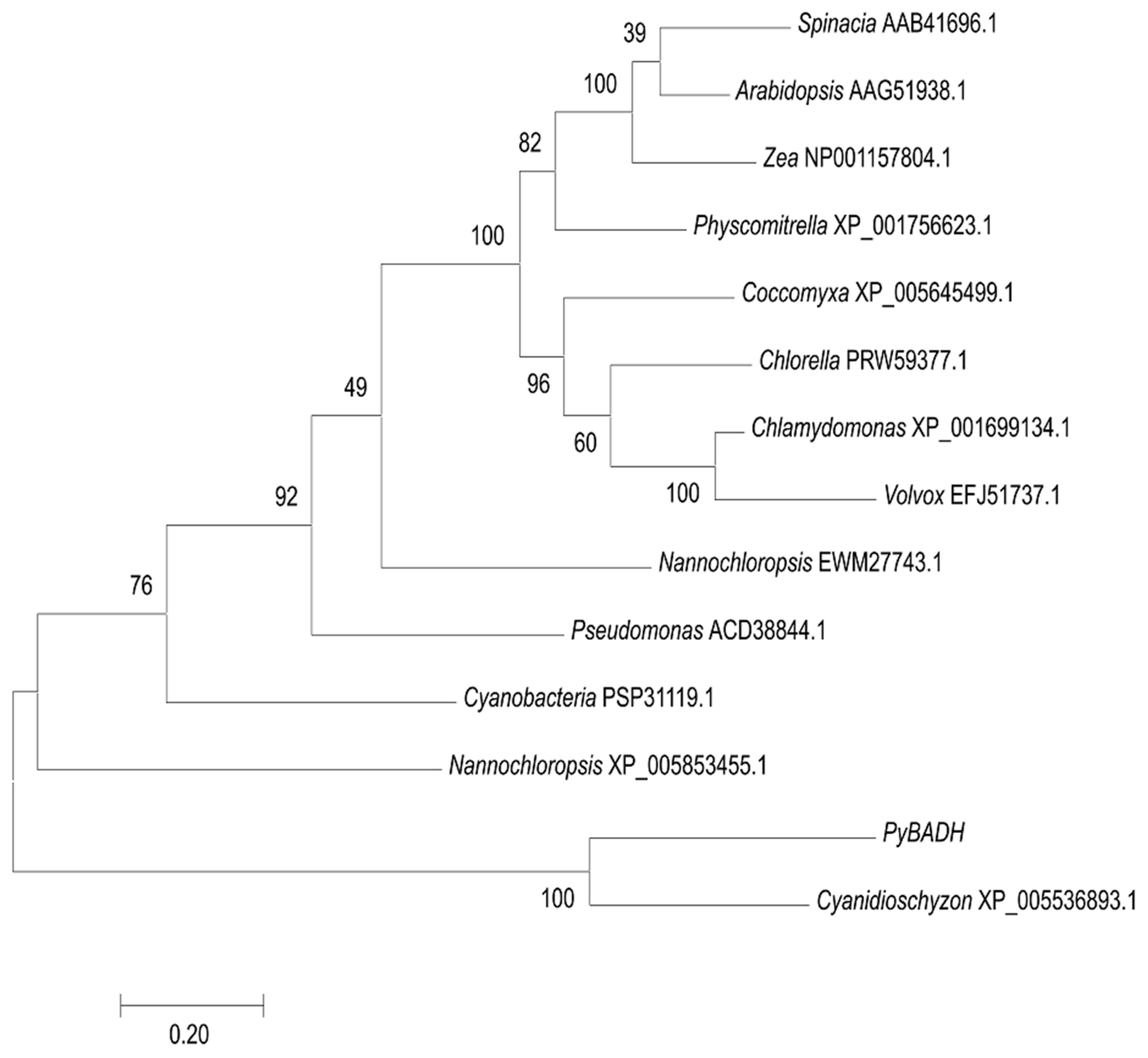 Marinedrugs 17 00070 g004 Marinedrugs 17 00070 g004