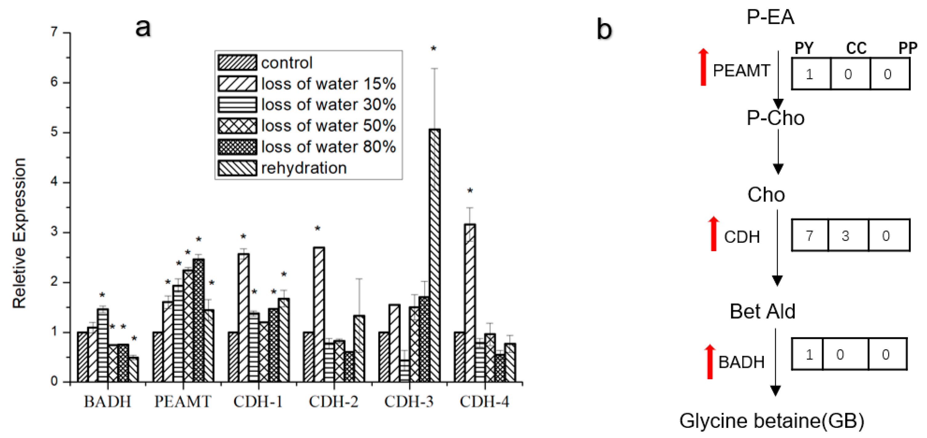 Marinedrugs 17 00070 g006 Marinedrugs 17 00070 g006