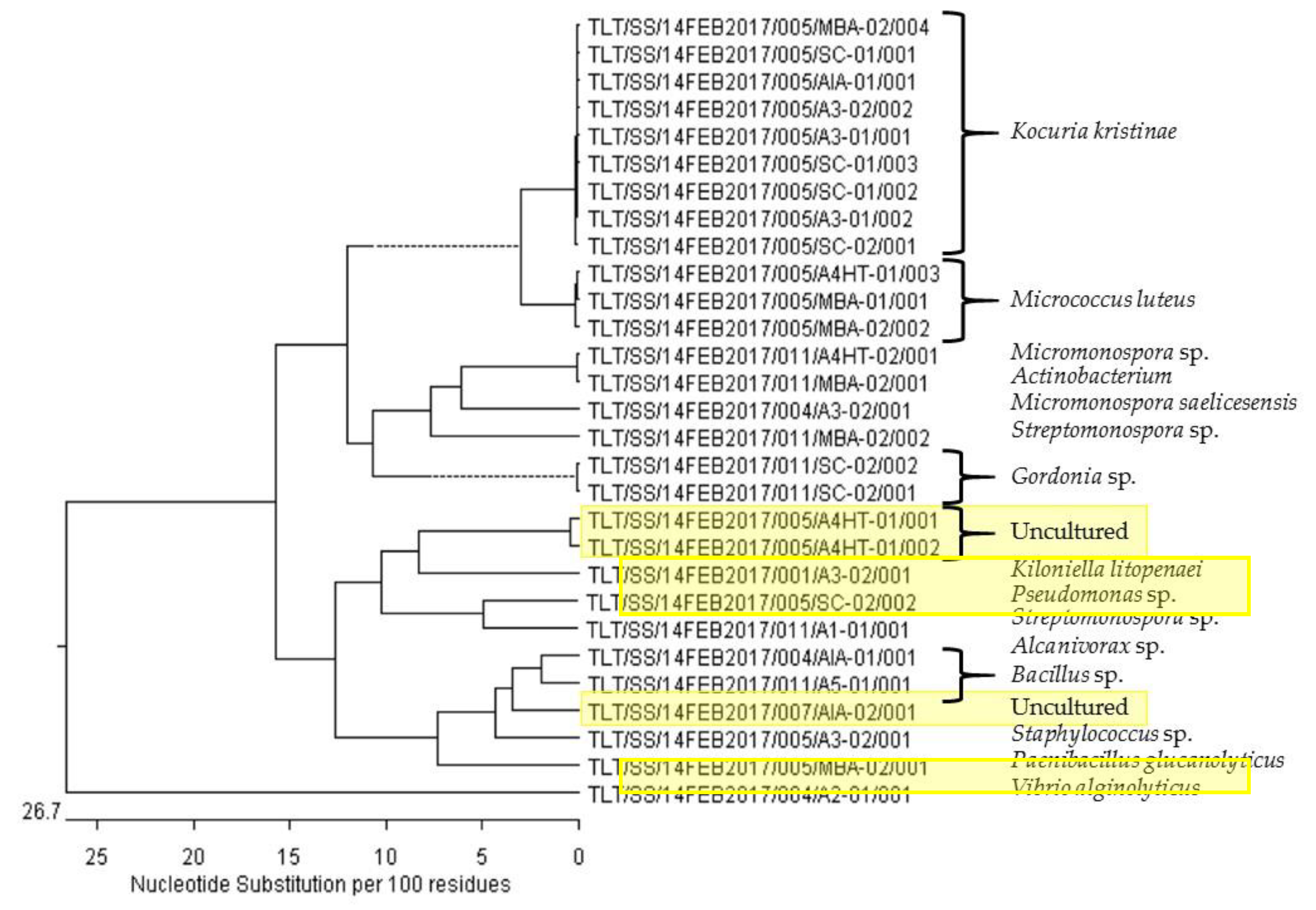 【アウトレット☆送料無料】 Integrated Discovery the to Approach Metabolomic and Genomic アイドルグッズ