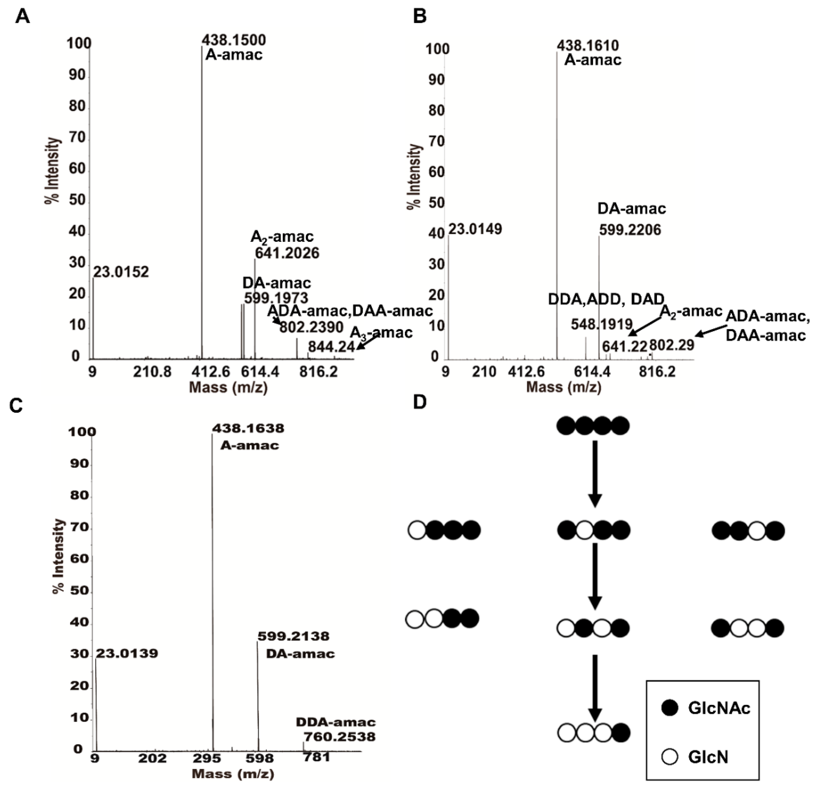 Marinedrugs 17 00074 g008 Marinedrugs 17 00074 g008
