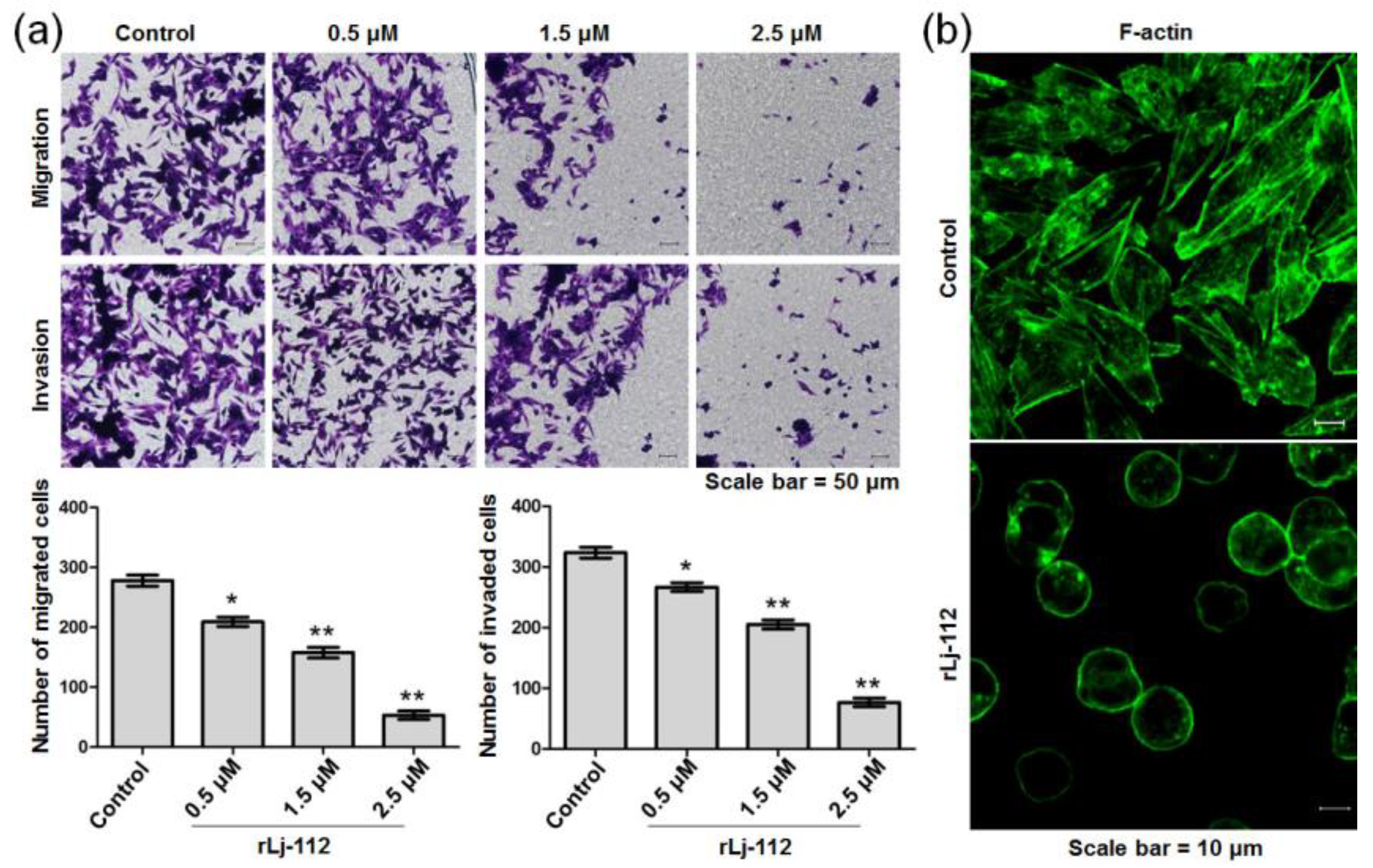 Marinedrugs 17 00075 g005 Marinedrugs 17 00075 g005