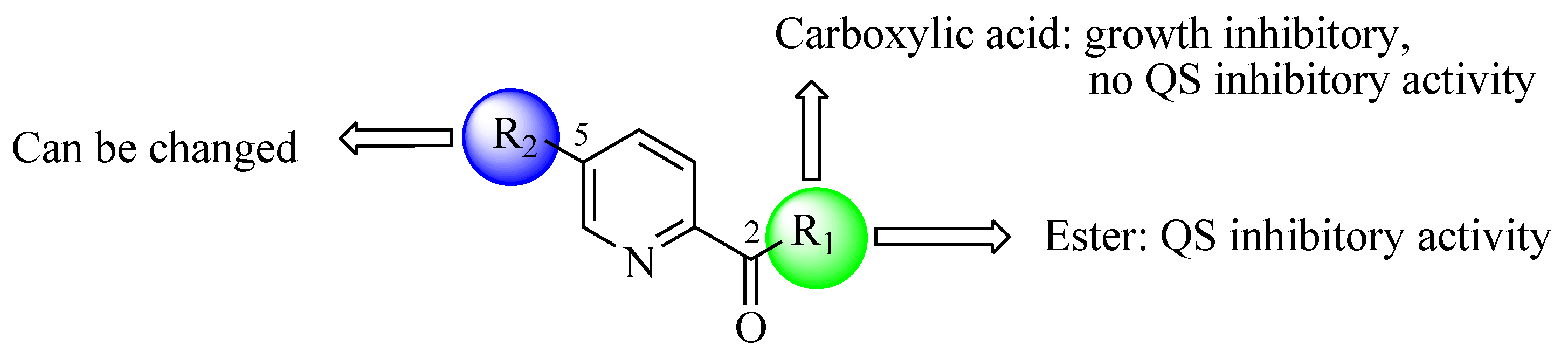 Marinedrugs 17 00080 g003 Marinedrugs 17 00080 g003