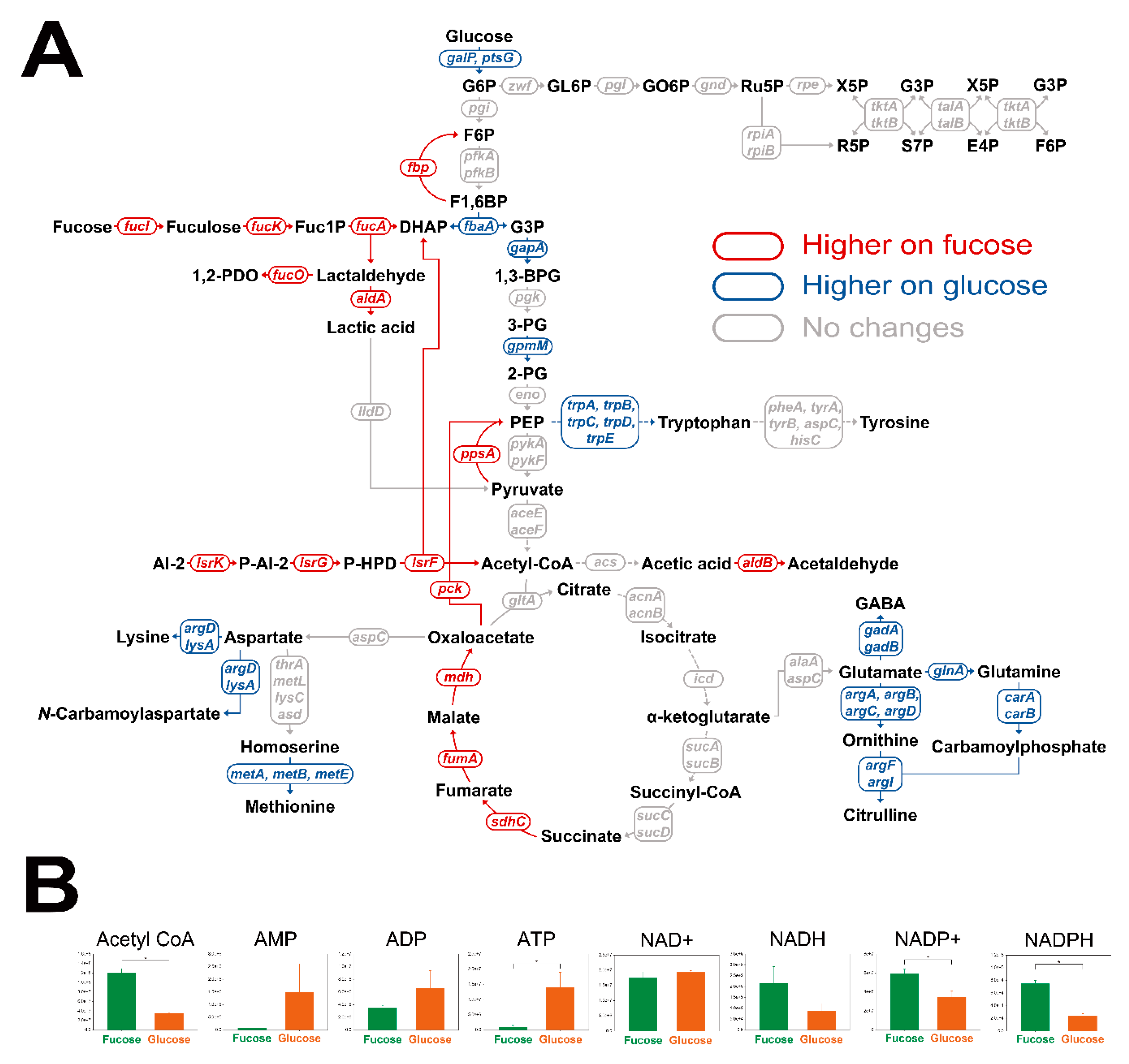 Marinedrugs 17 00082 g005 Marinedrugs 17 00082 g005