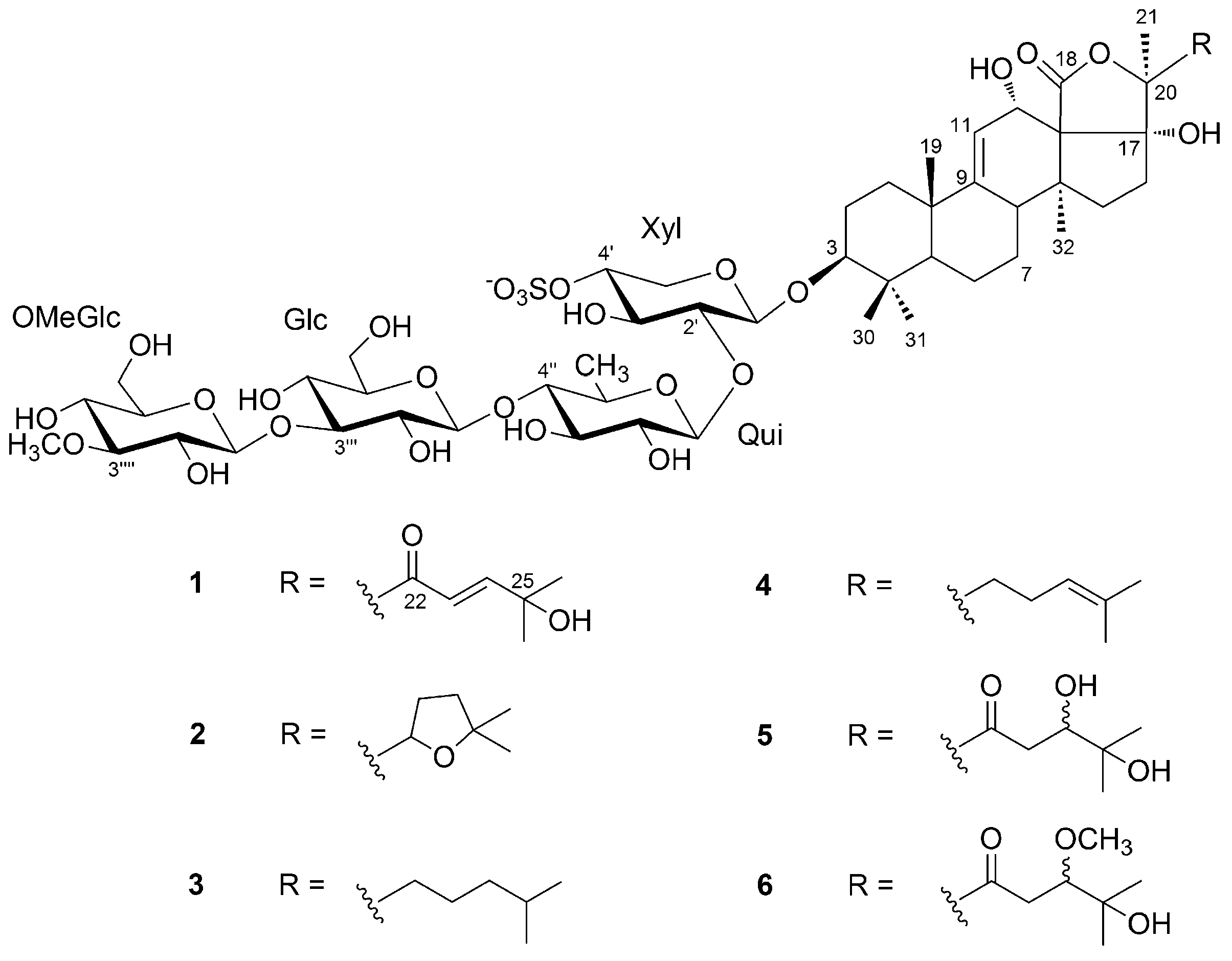 Marinedrugs 17 00086 g001 Marinedrugs 17 00086 g001