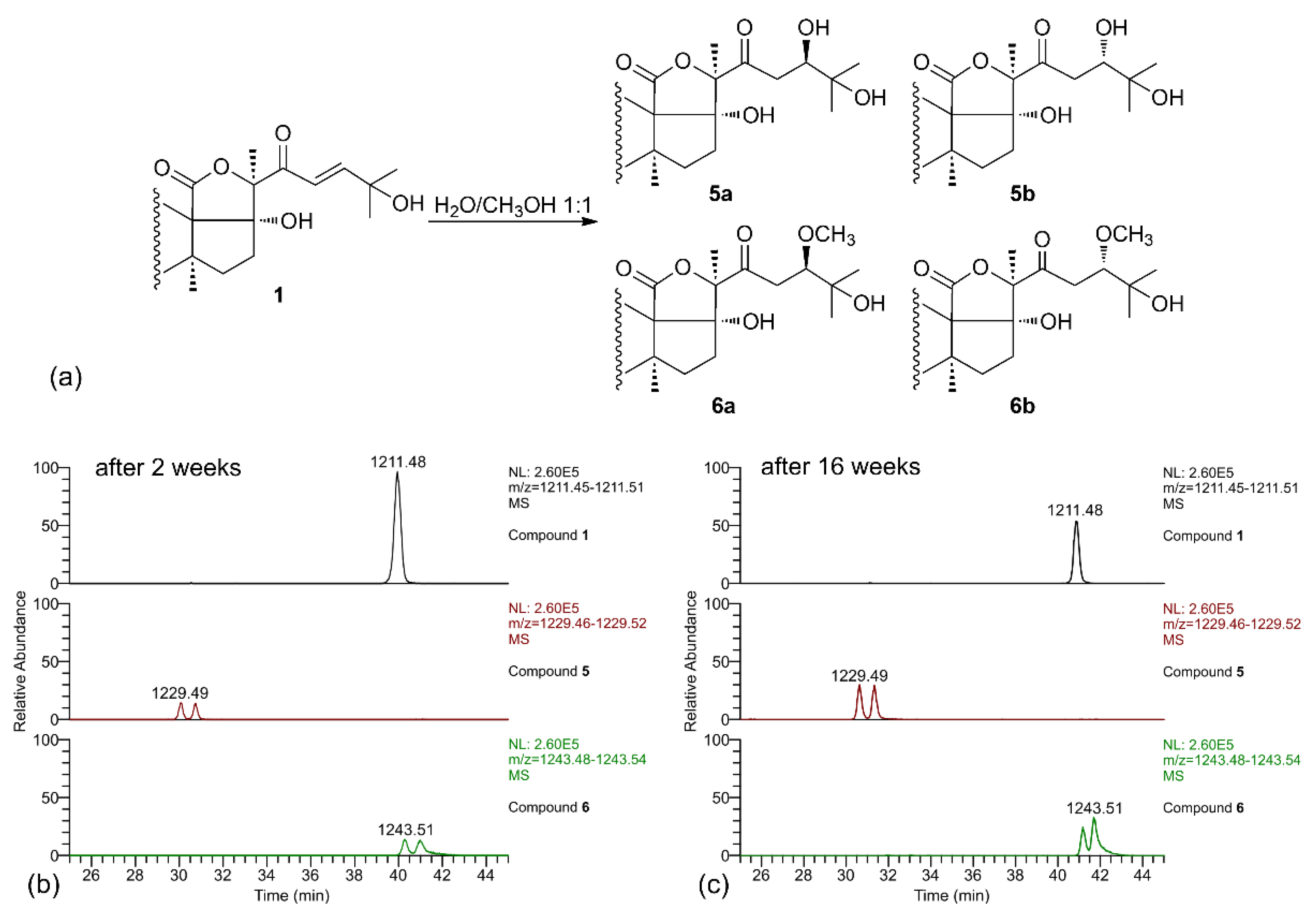 Marinedrugs 17 00086 g004 Marinedrugs 17 00086 g004