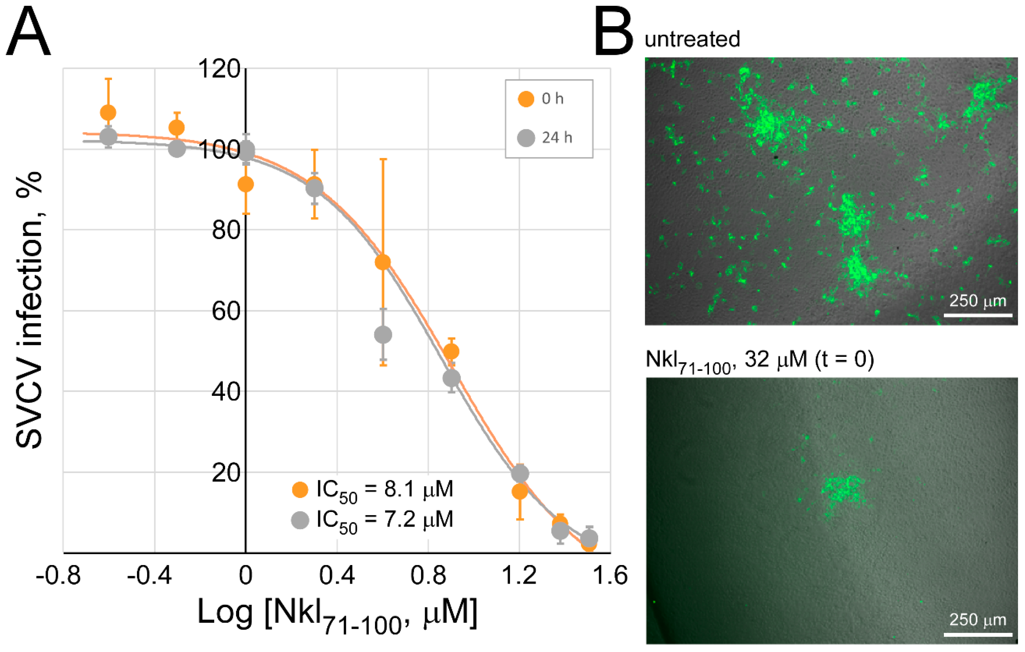 Marinedrugs 17 00087 g005 Marinedrugs 17 00087 g005