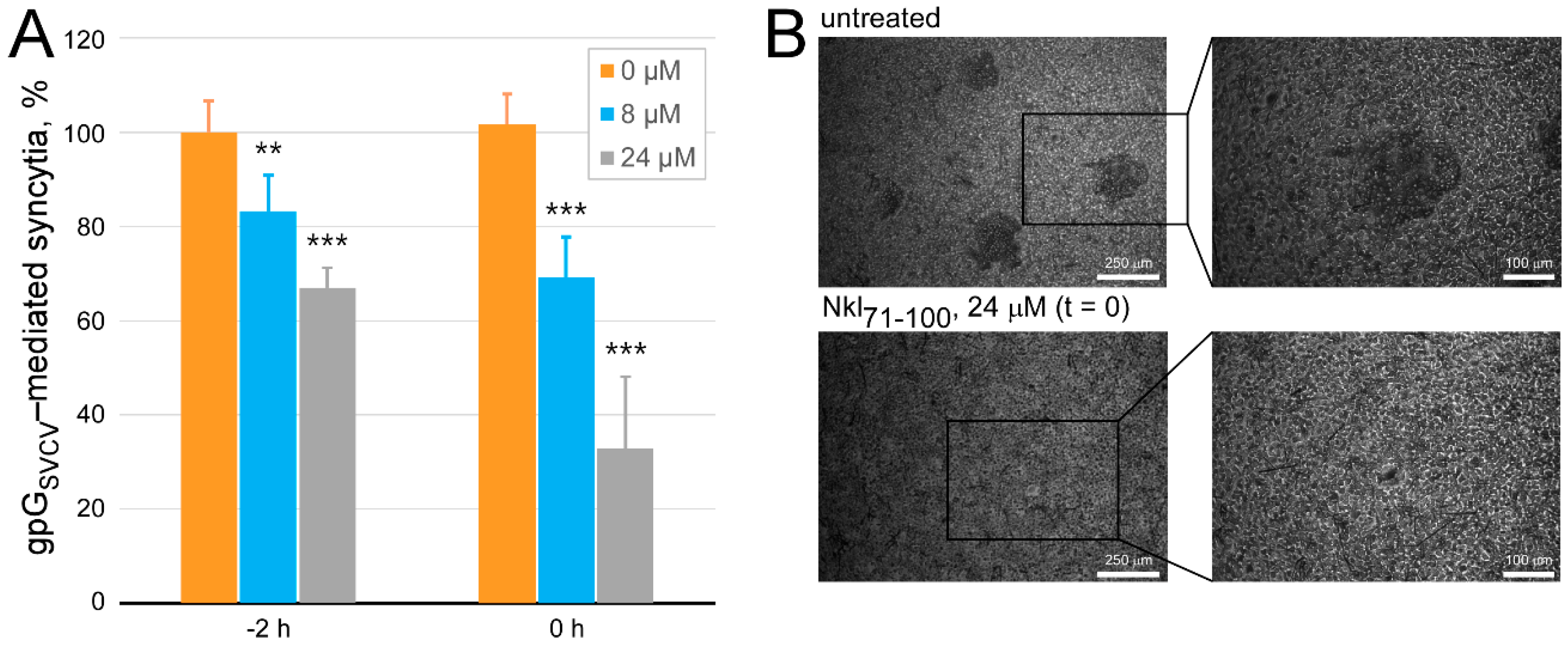 Marinedrugs 17 00087 g008 Marinedrugs 17 00087 g008
