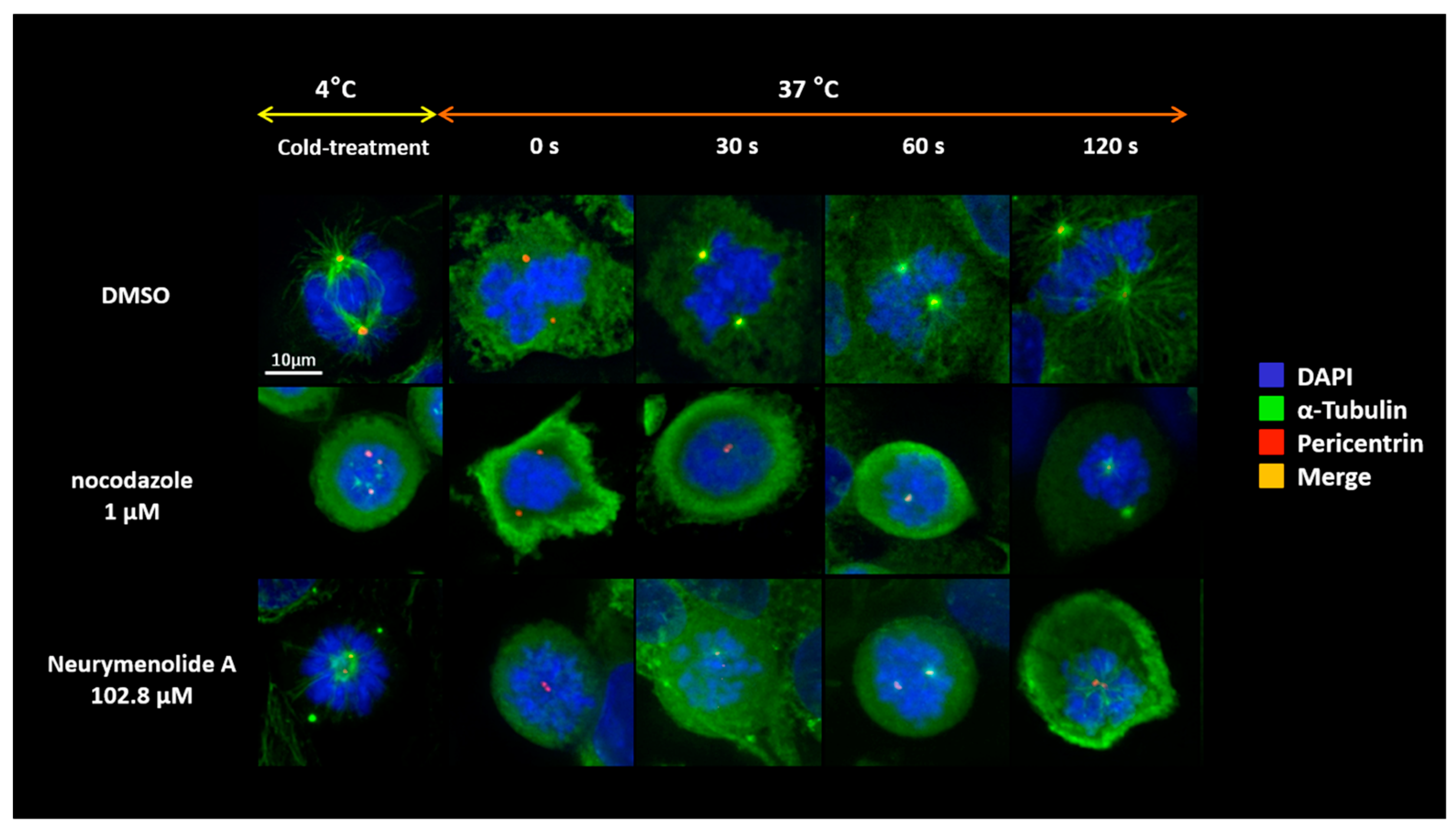 Marinedrugs 17 00093 g004