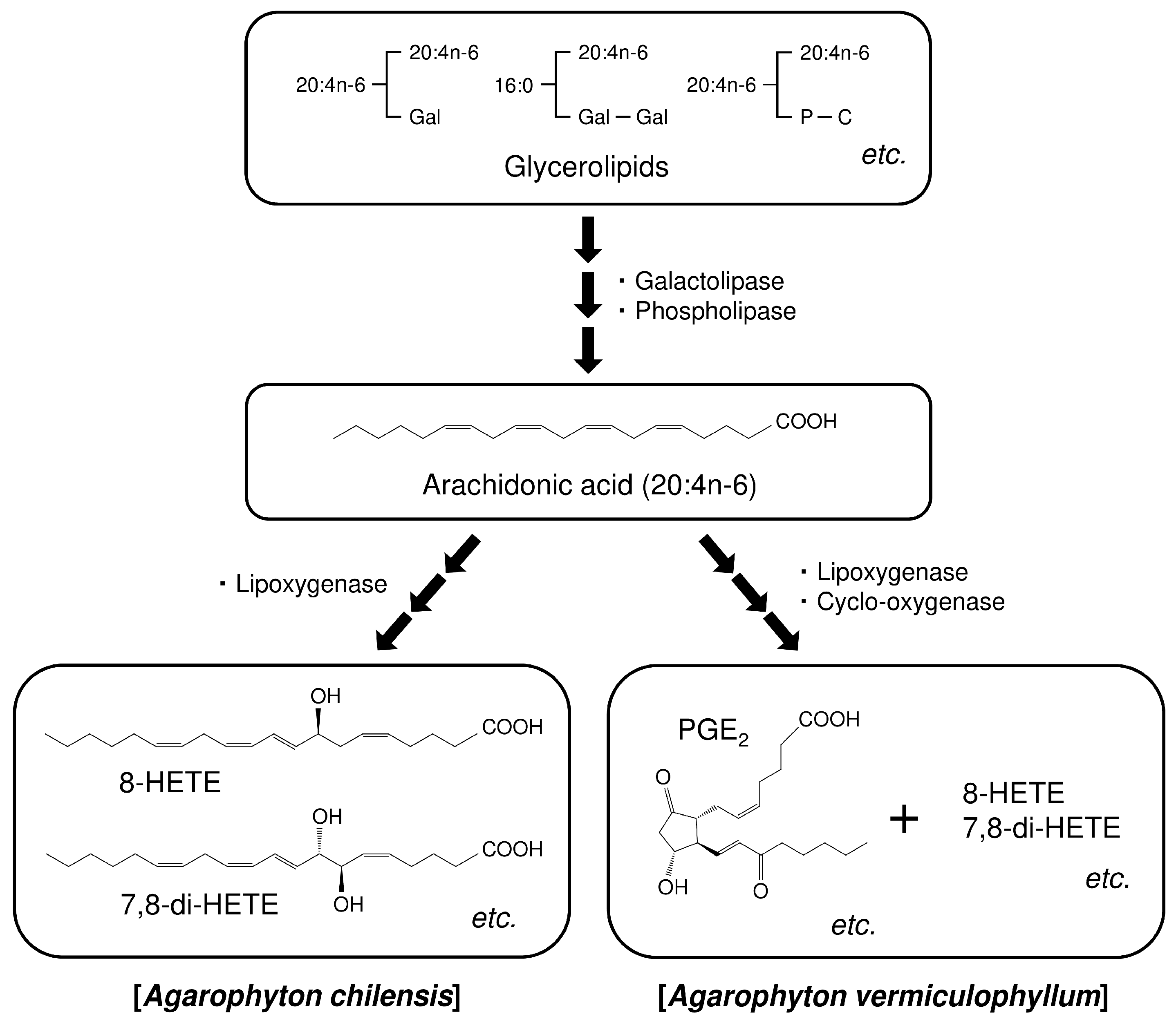 Marinedrugs 17 00096 g001 Marinedrugs 17 00096 g001