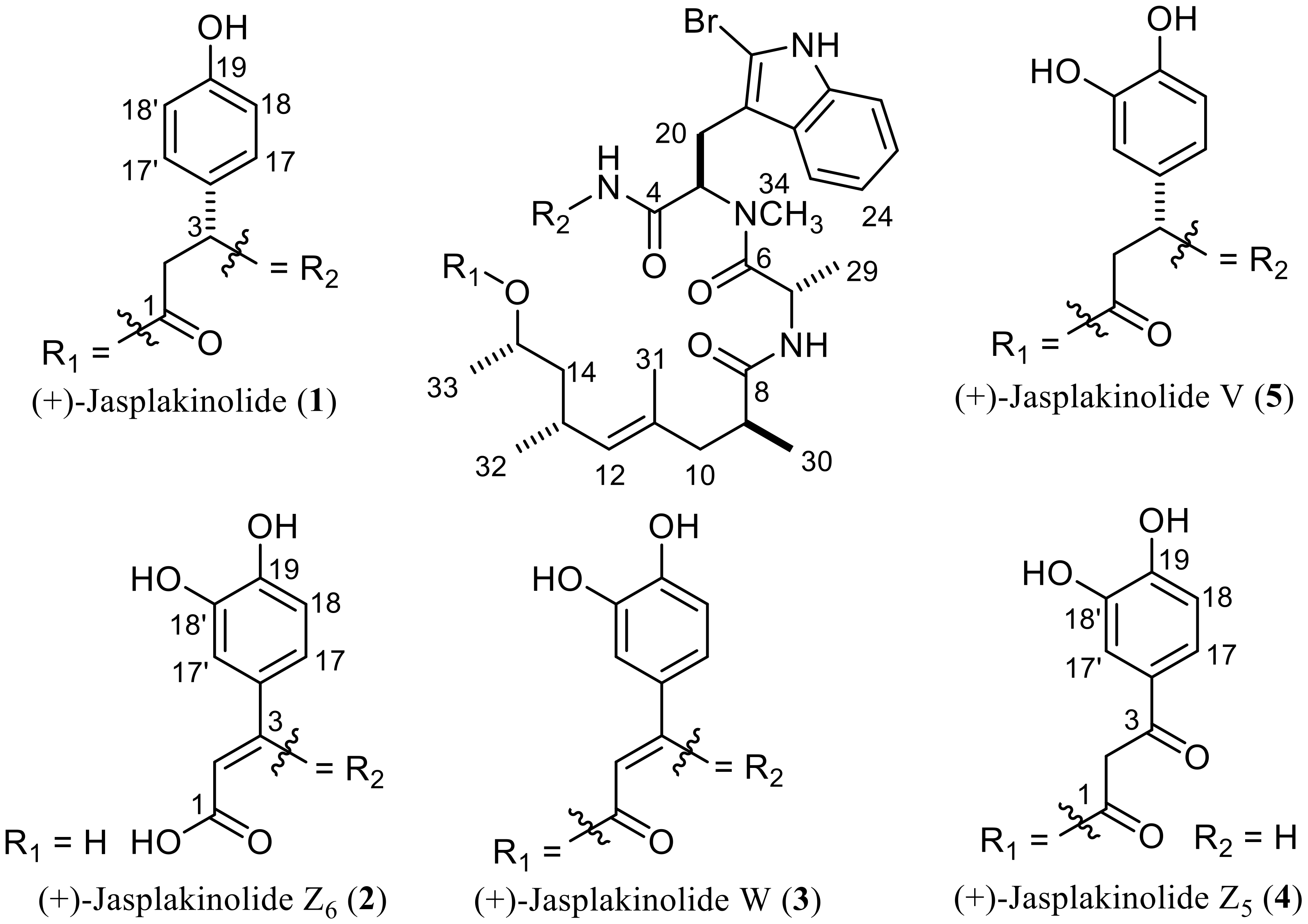 Marinedrugs 17 00100 g001 550