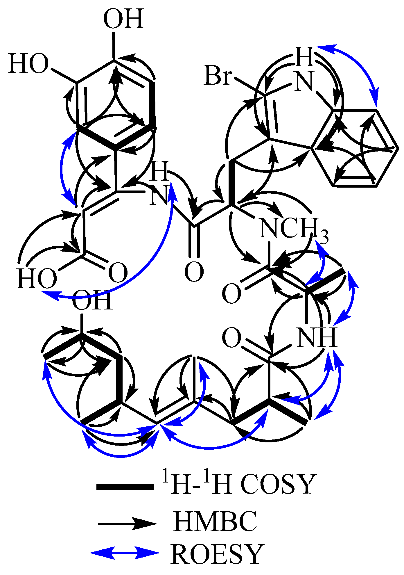 Marinedrugs 17 00100 g003 550