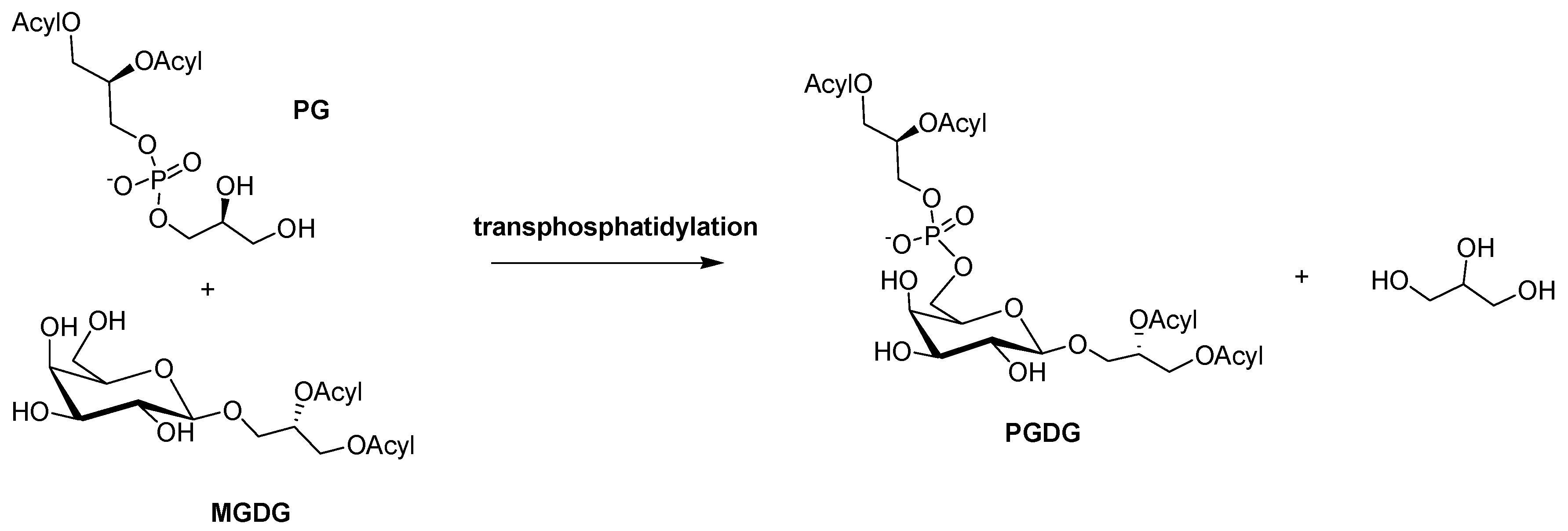 Marinedrugs 17 00103 sch001 550
