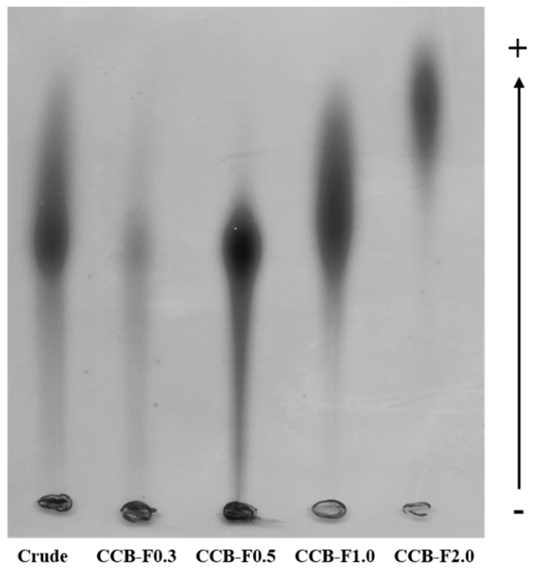 Marinedrugs 17 00105 g001 550