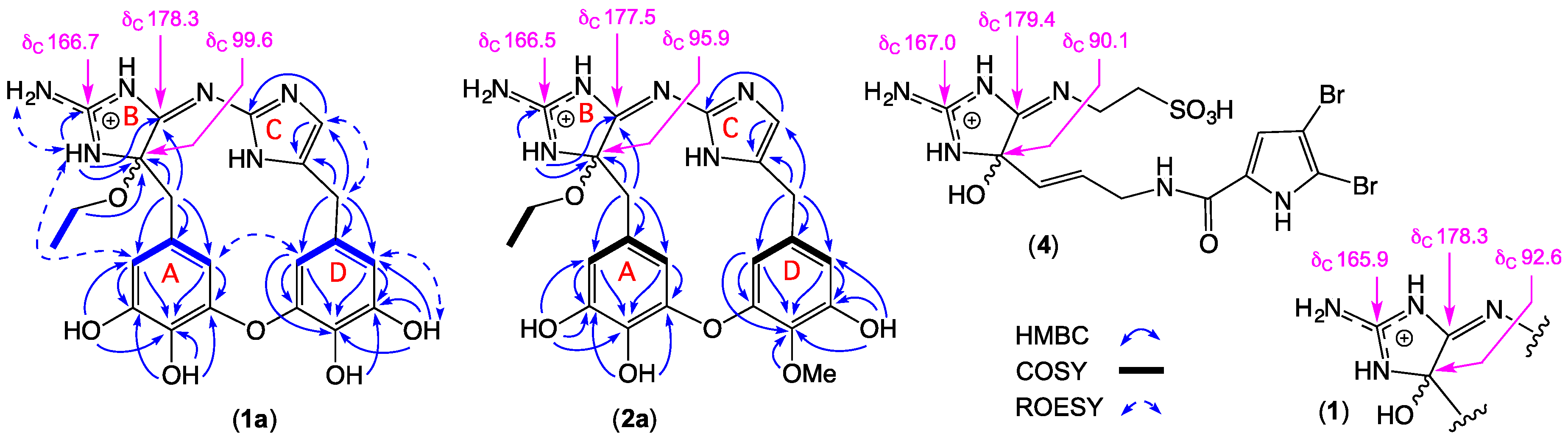 Marinedrugs 17 00106 g002
