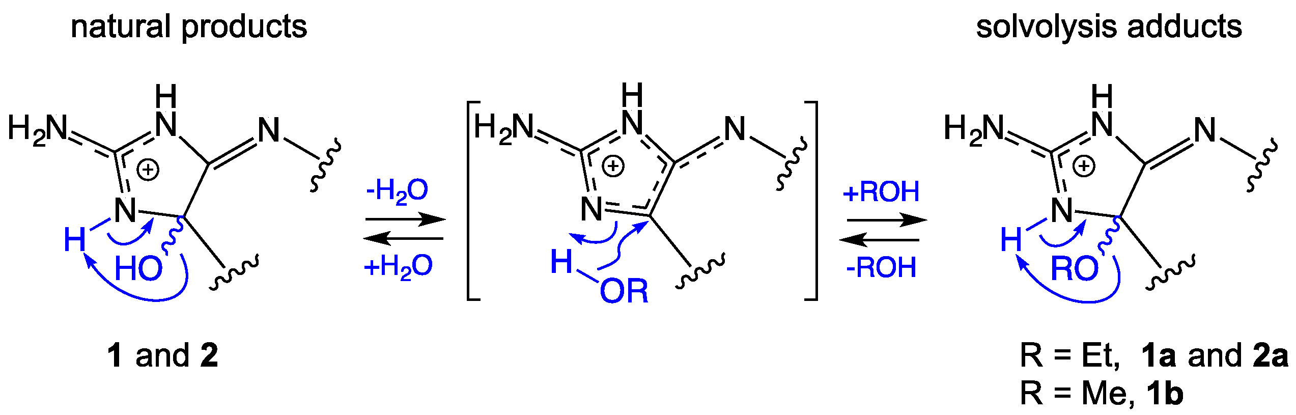 Marinedrugs 17 00106 g003
