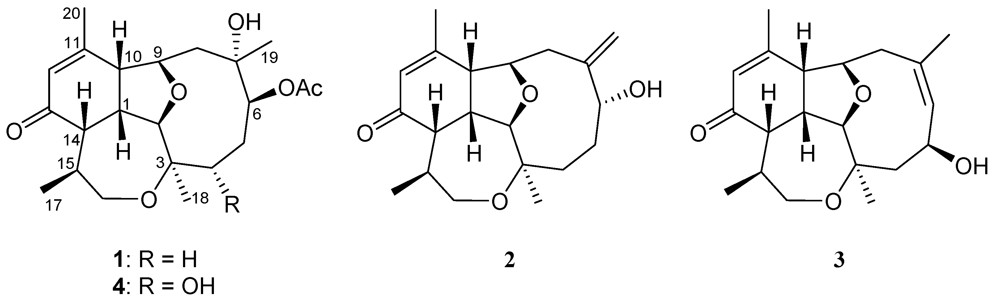 Marinedrugs 17 00120 g001 Marinedrugs 17 00120 g001