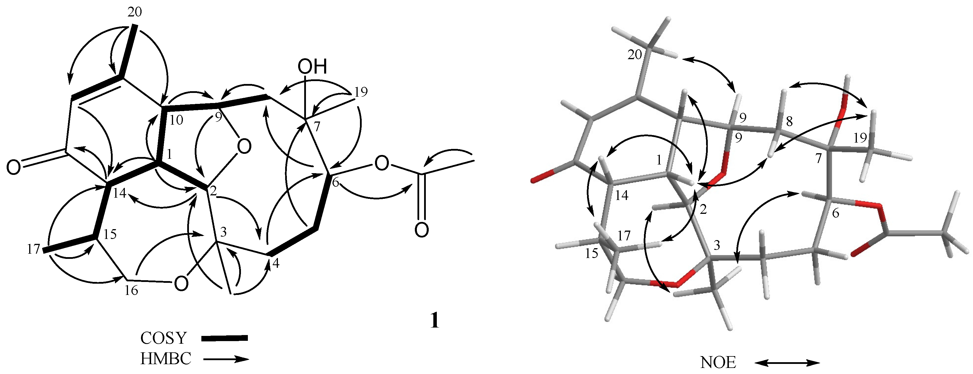 Marinedrugs 17 00120 g002 Marinedrugs 17 00120 g002