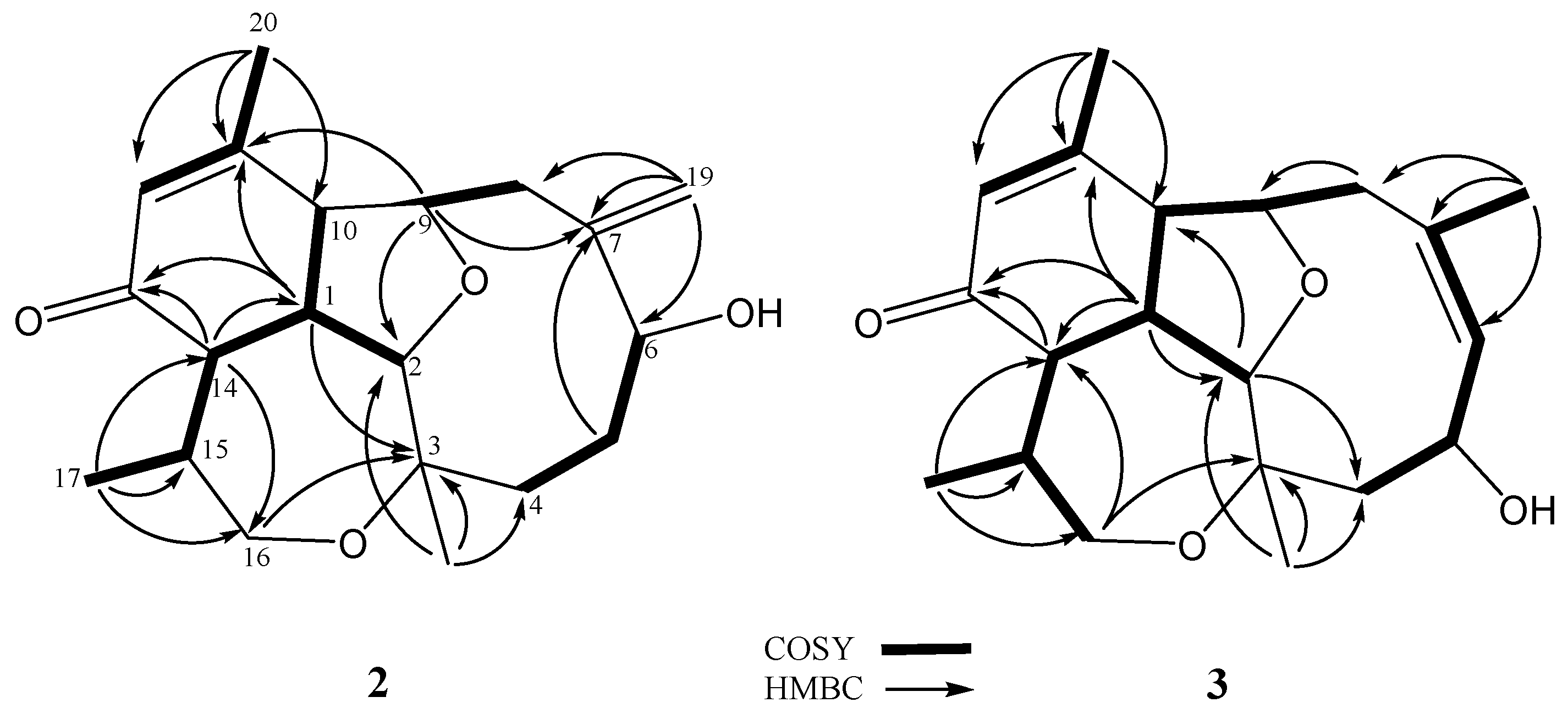 Marinedrugs 17 00120 g004 Marinedrugs 17 00120 g004