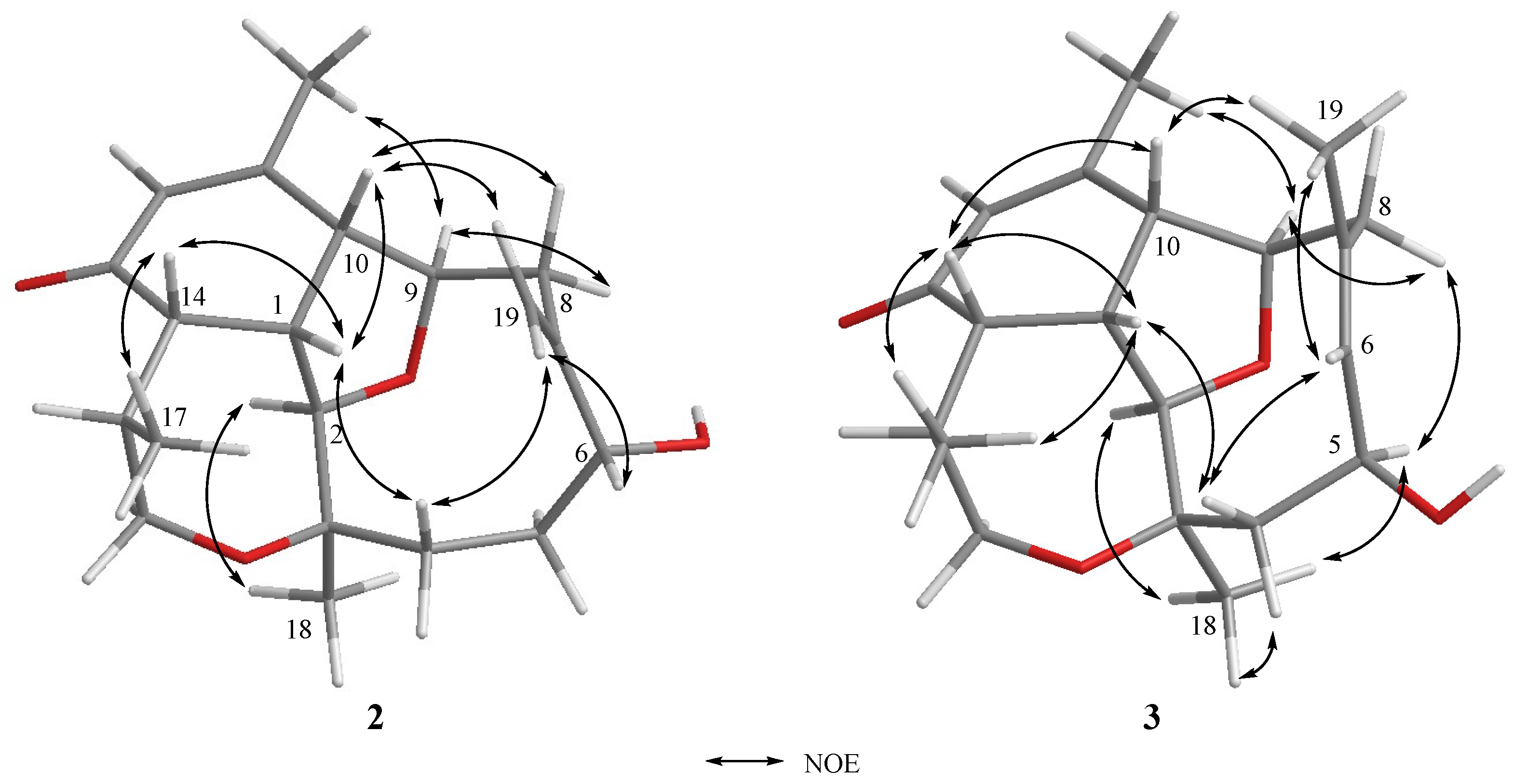 Marinedrugs 17 00120 g005 Marinedrugs 17 00120 g005