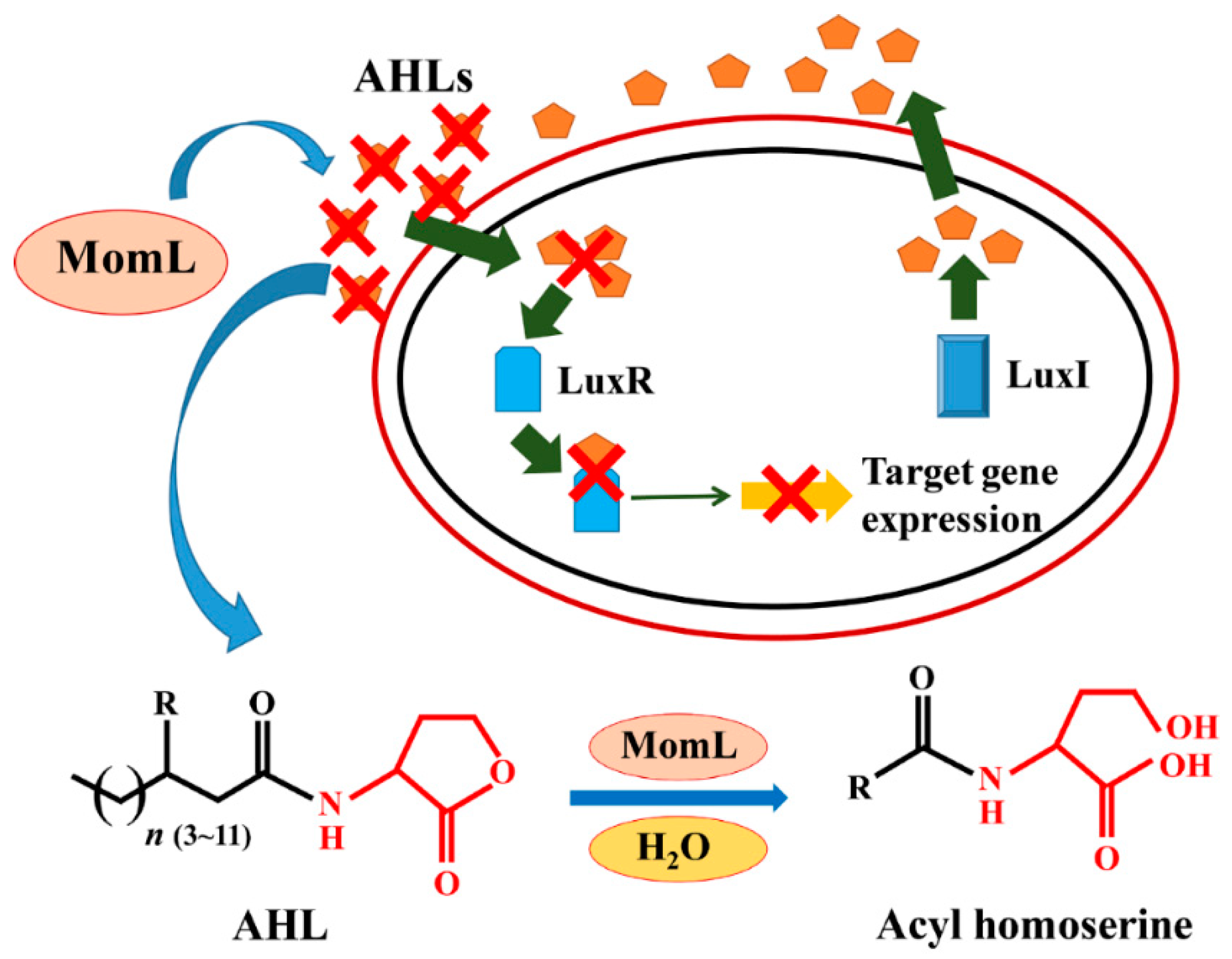 Marinedrugs 17 00128 g001 Marinedrugs 17 00128 g001
