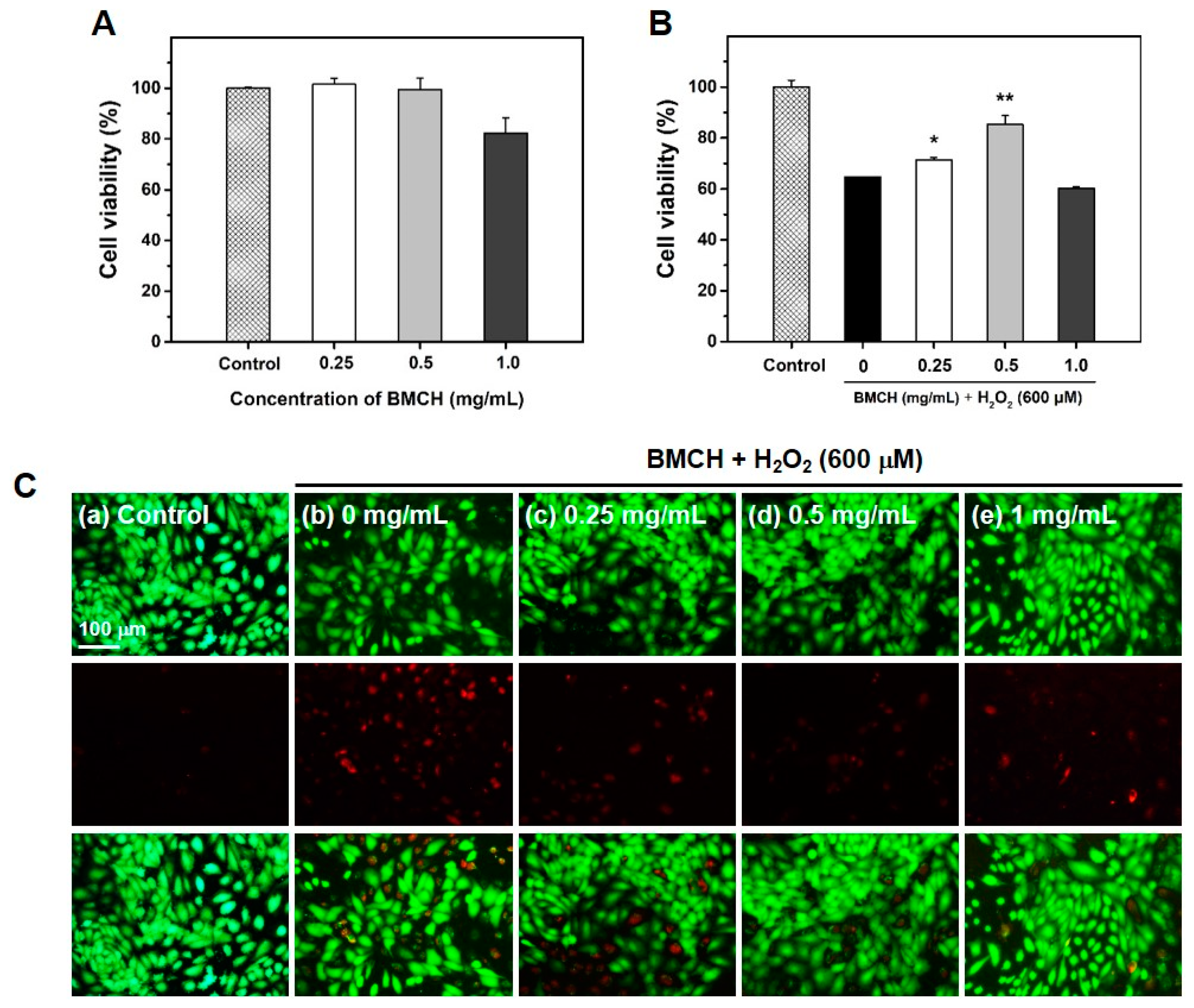 Marinedrugs 17 00135 g002