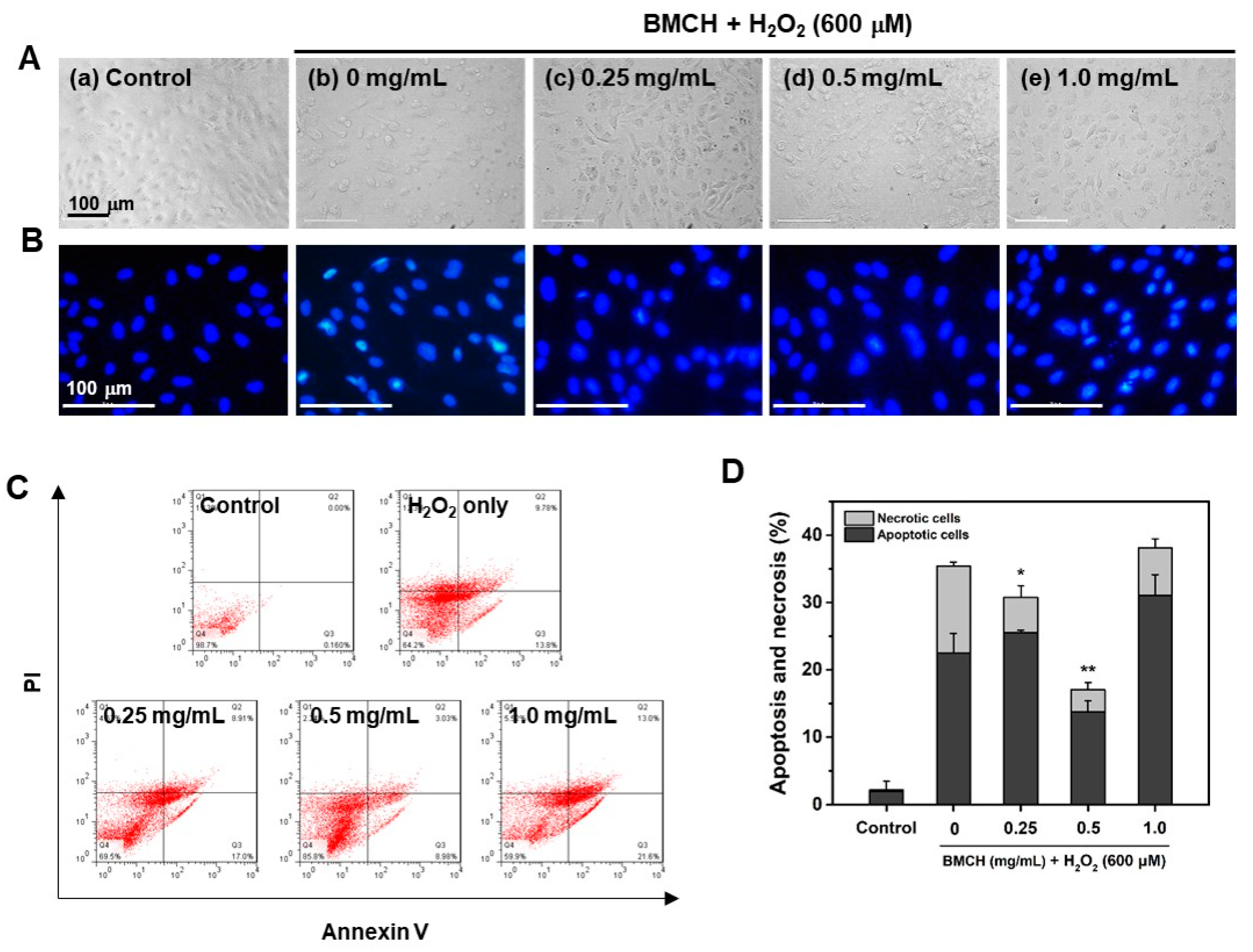 Marinedrugs 17 00135 g005