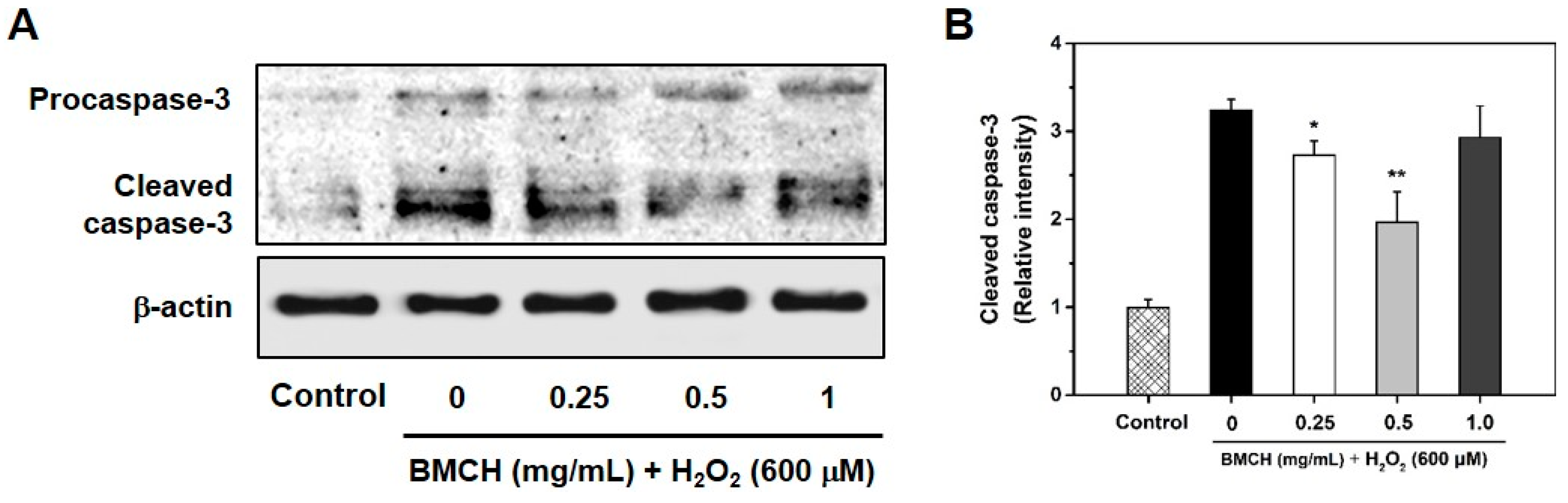 Marinedrugs 17 00135 g007