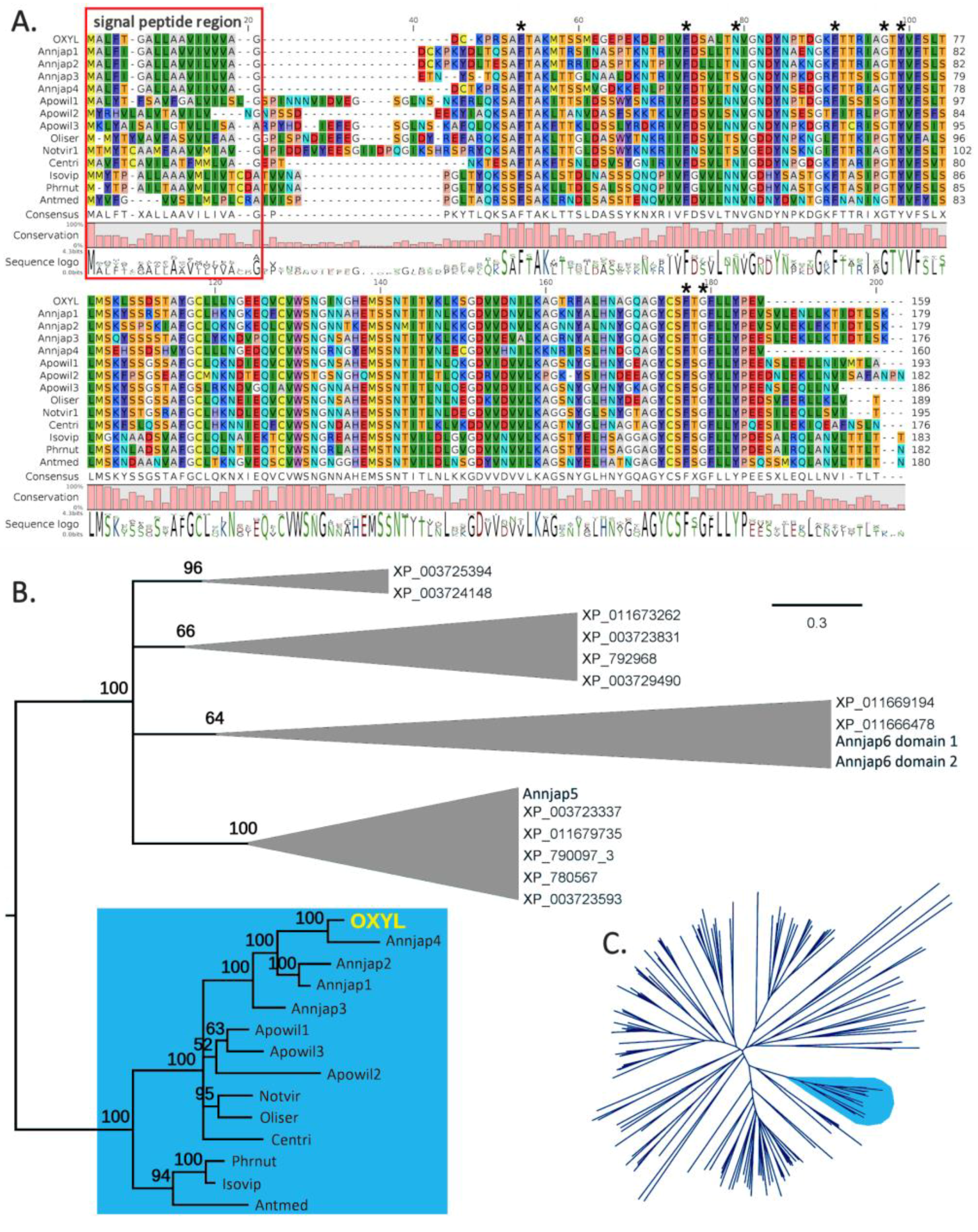 Marinedrugs 17 00136 g002 Marinedrugs 17 00136 g002