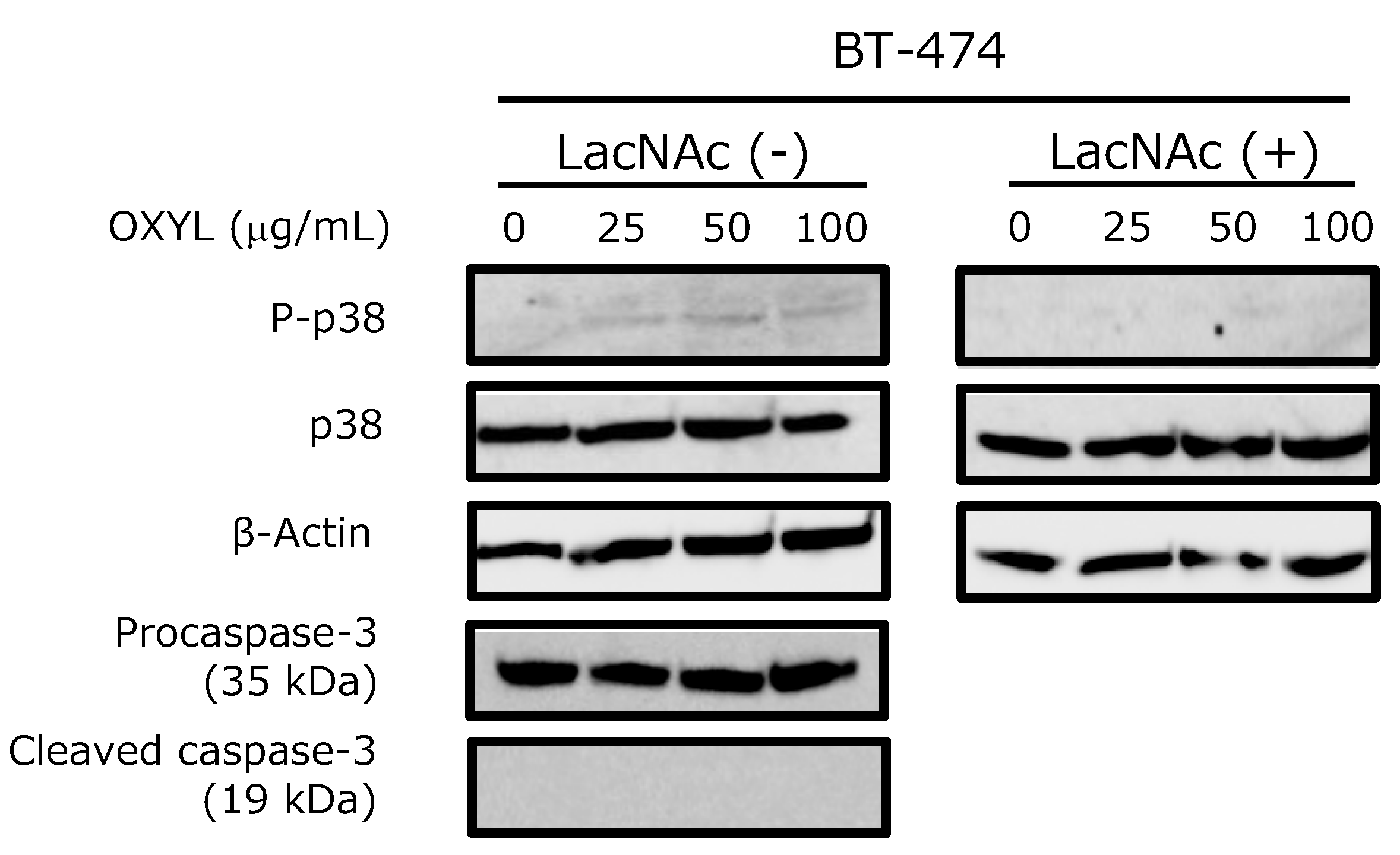 Marinedrugs 17 00136 g010 Marinedrugs 17 00136 g010