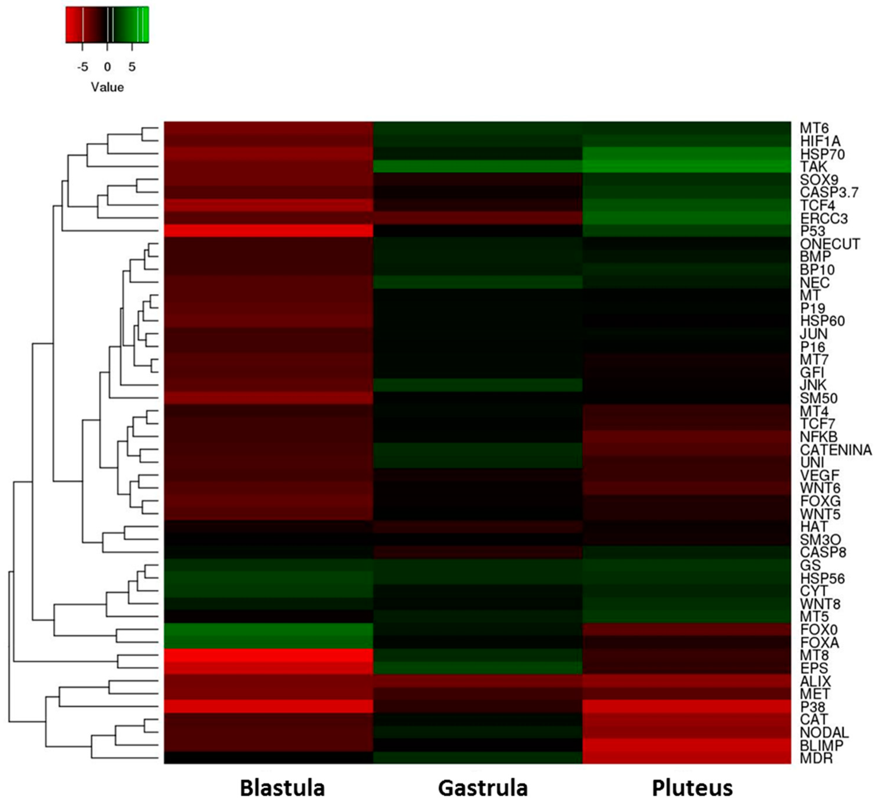 Marinedrugs 17 00144 g005