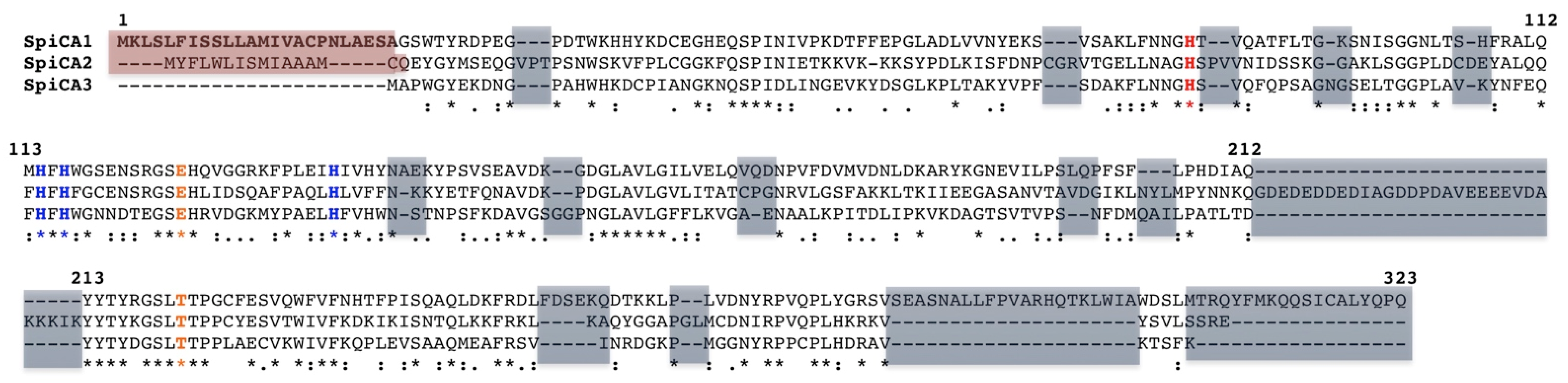 Marinedrugs 17 00146 g001