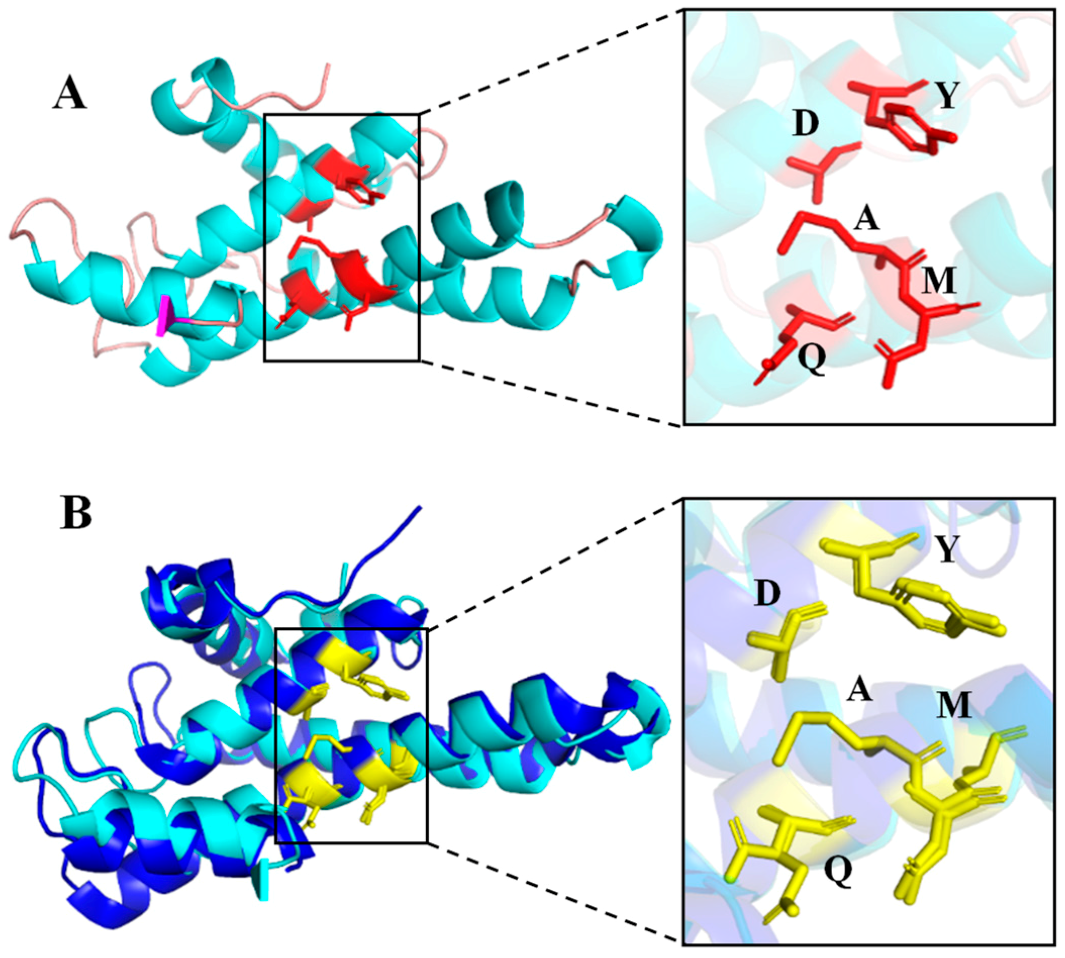 Marinedrugs 17 00147 g002 Marinedrugs 17 00147 g002