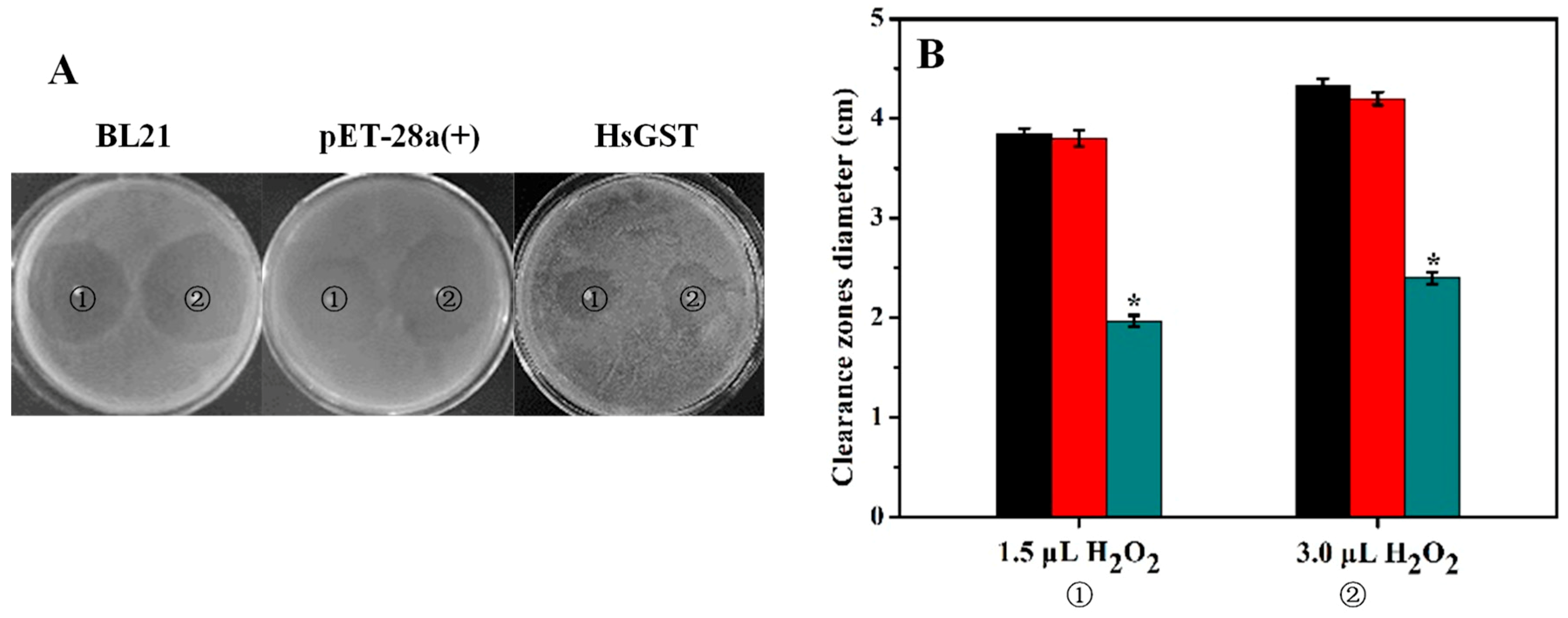 Marinedrugs 17 00147 g006 Marinedrugs 17 00147 g006