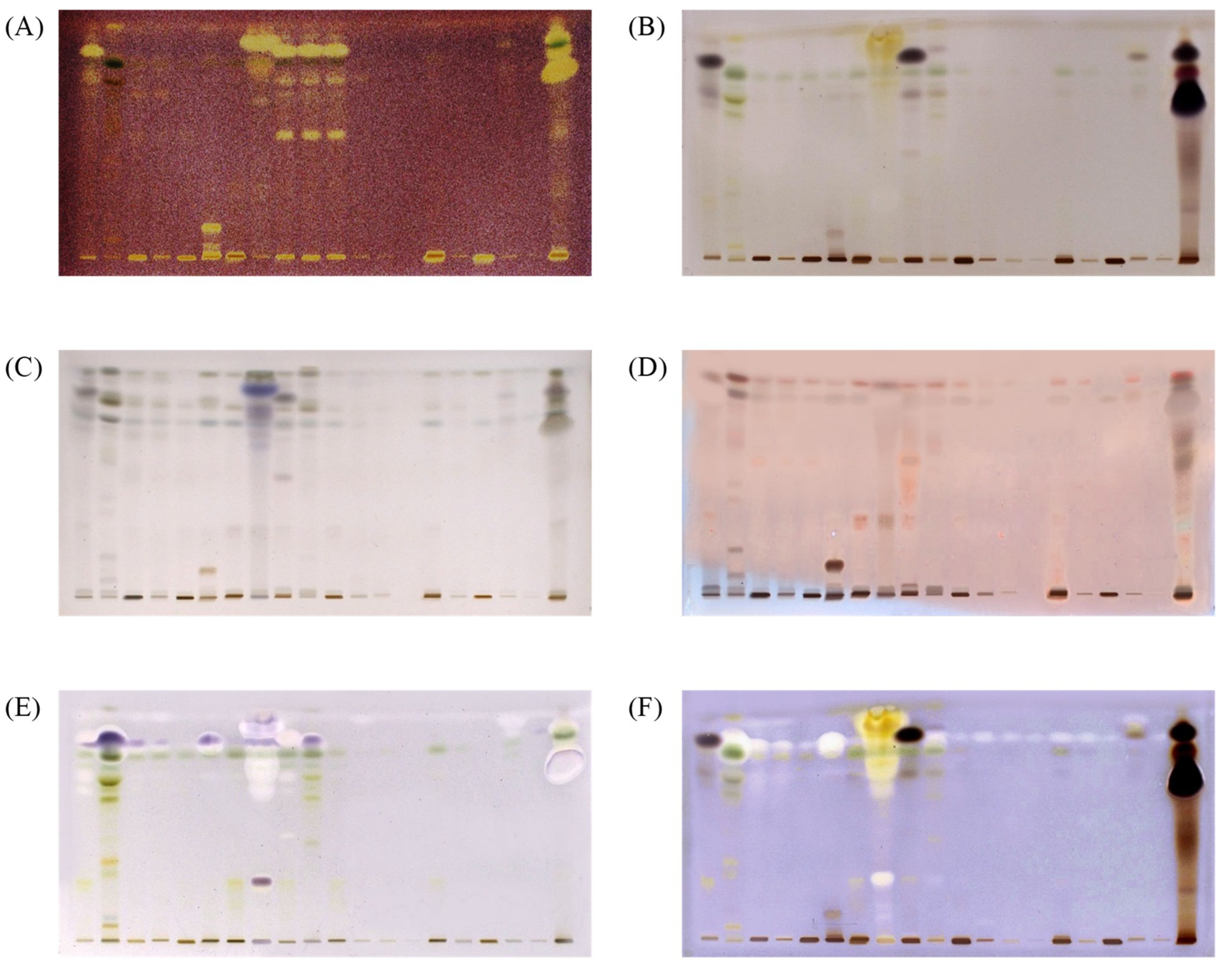 Marinedrugs 17 00148 g001