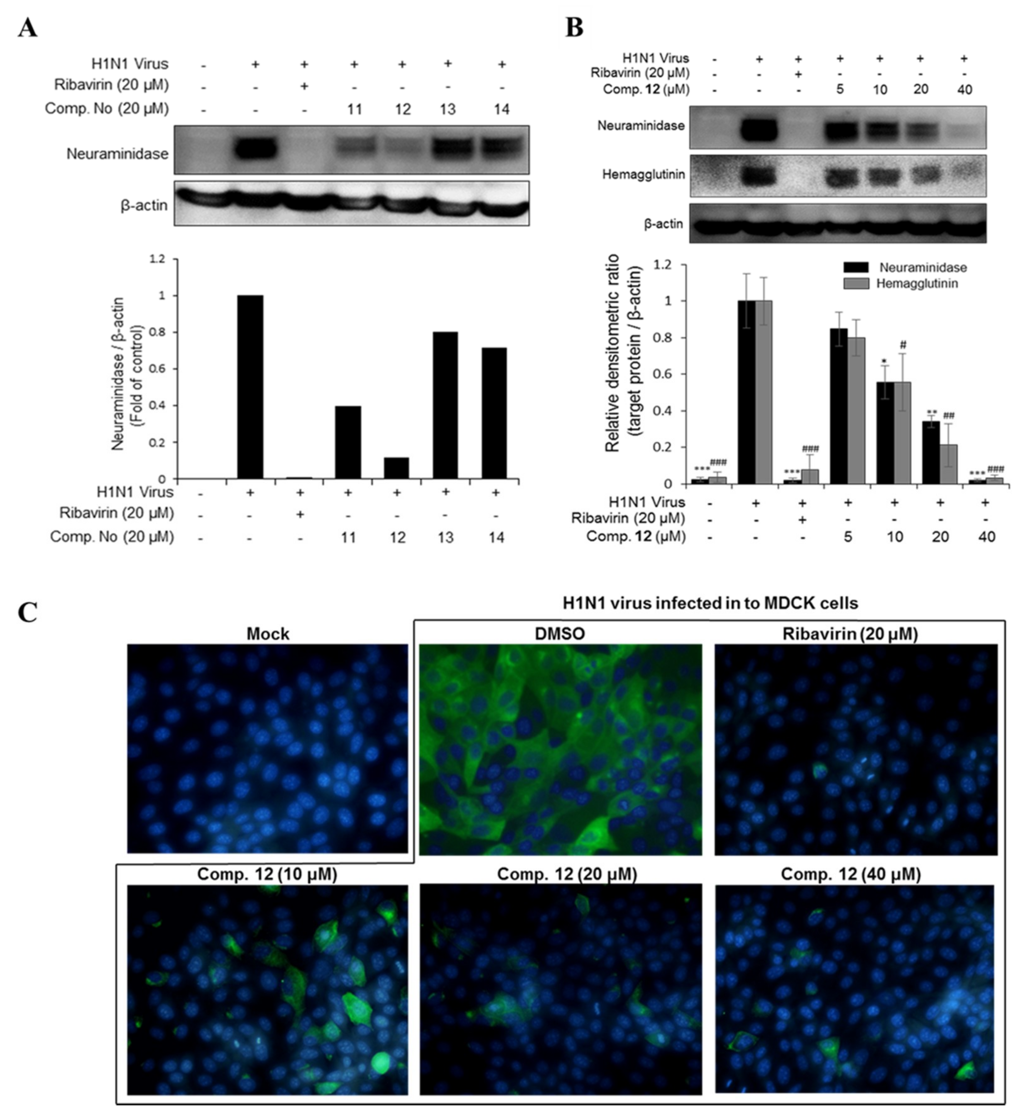 Marinedrugs 17 00149 g003 Marinedrugs 17 00149 g003