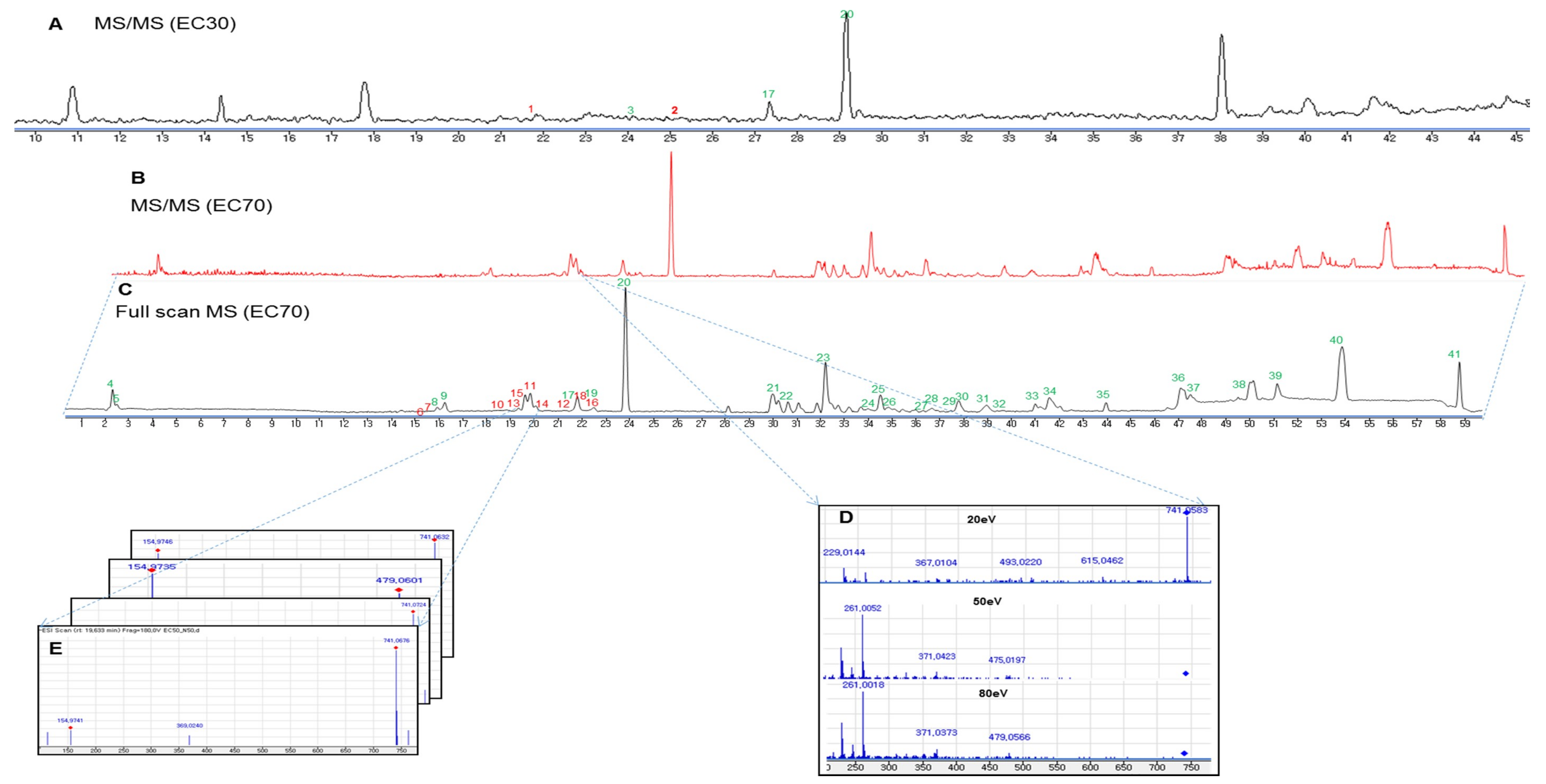 Marinedrugs 17 00149 g004 Marinedrugs 17 00149 g004