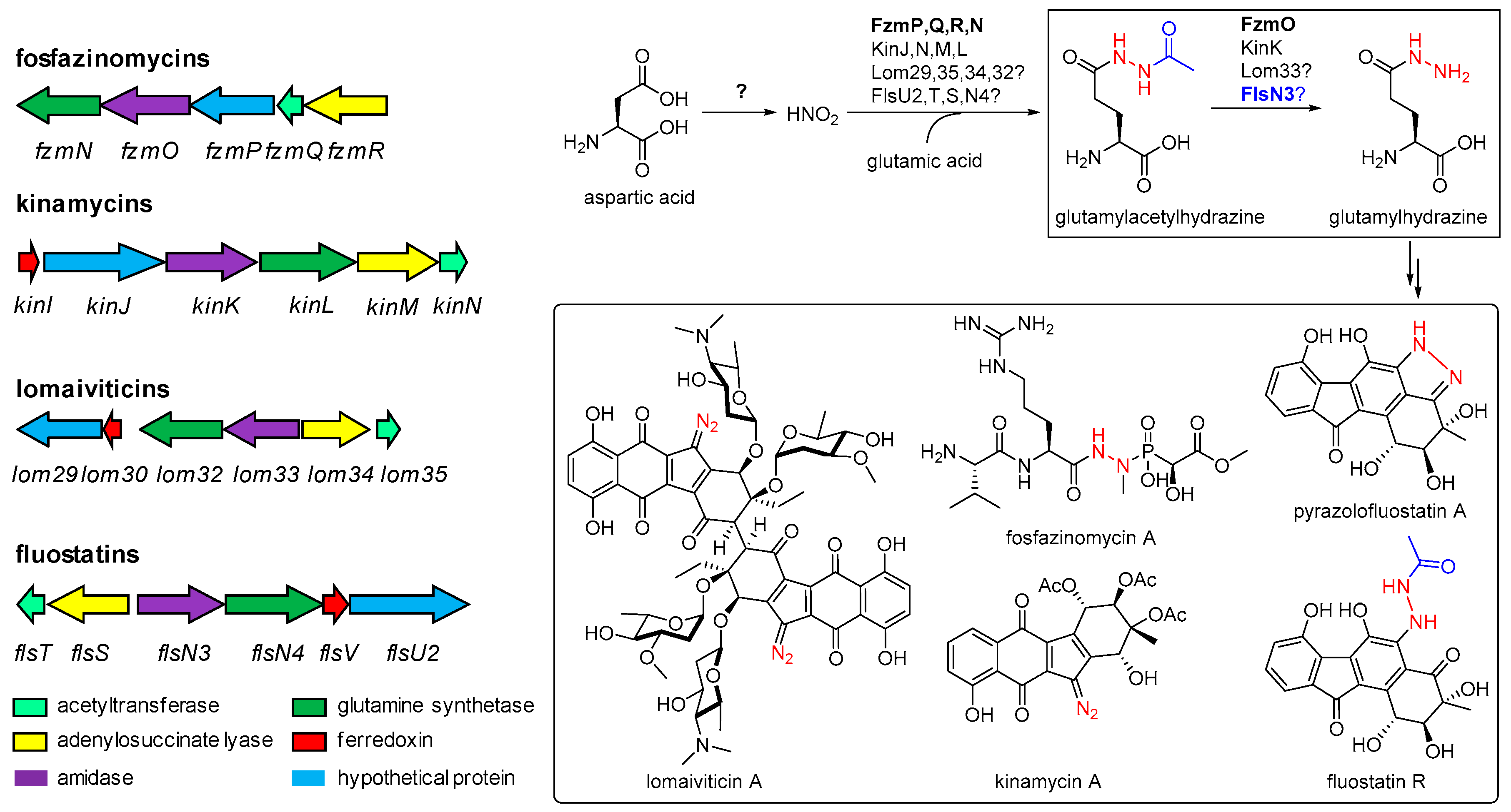 Marinedrugs 17 00150 g001 Marinedrugs 17 00150 g001