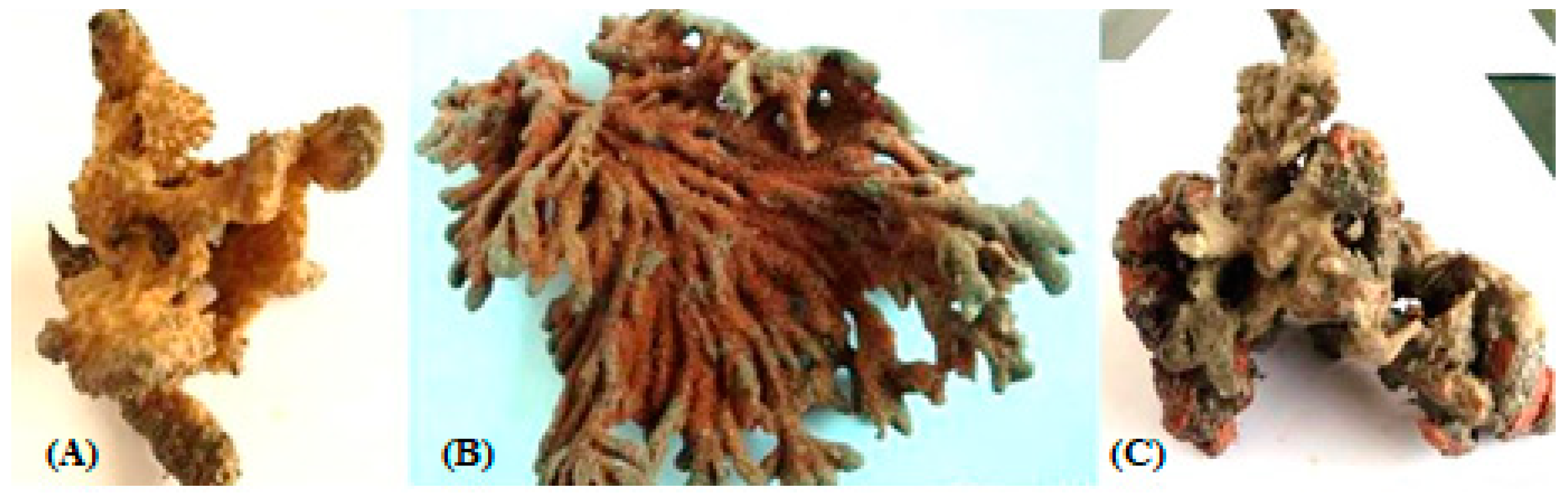 Marinedrugs 17 00164 g001 Marinedrugs 17 00164 g001